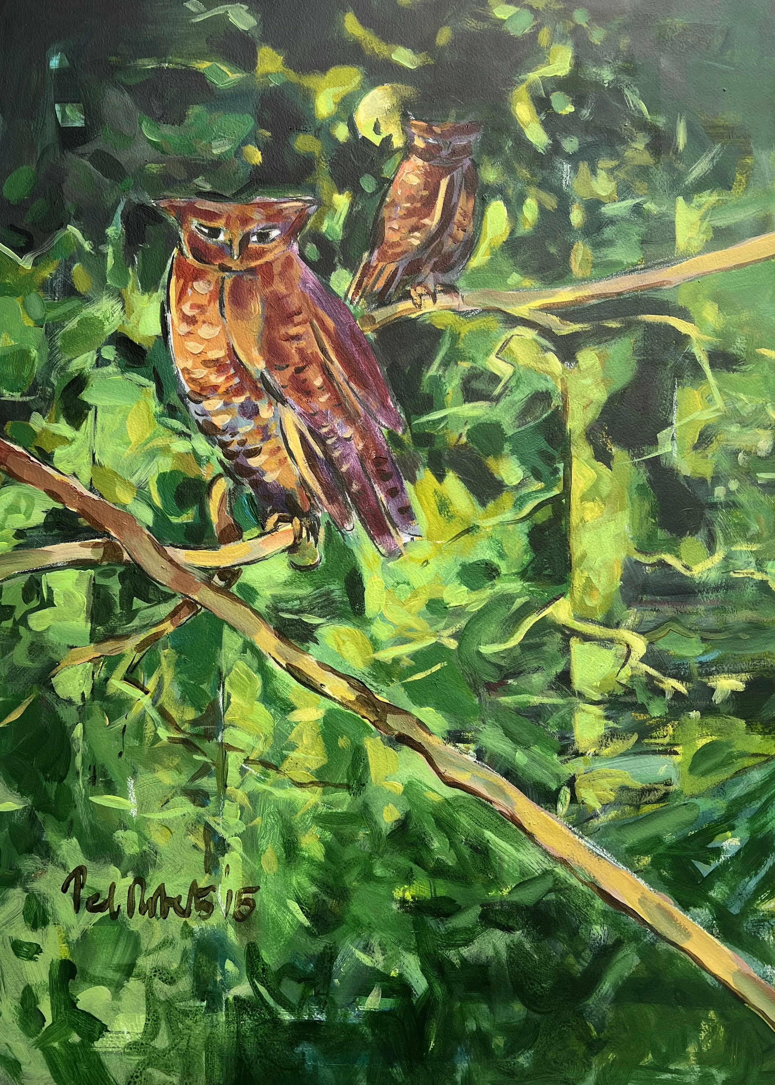 Owl roost. 2015. Acrylic on paper. 70cm x 51cm £300 Ref: 2080