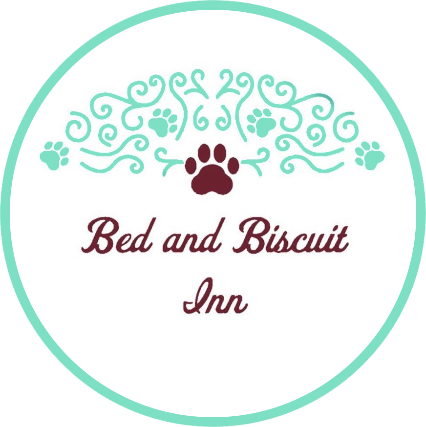 Bed and Biscuit Inn Adoptable Dogs