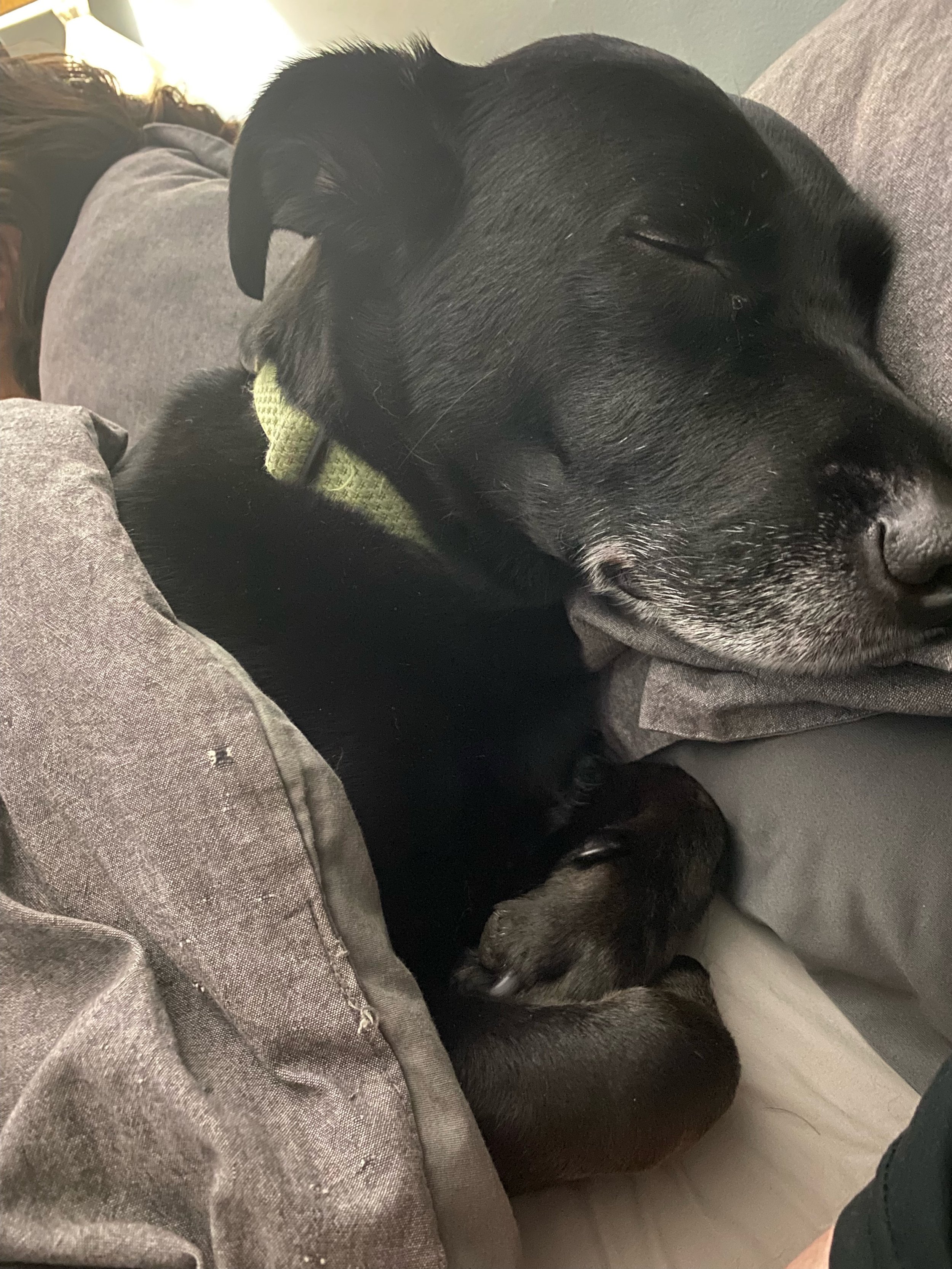 Why I Recommend a Sleep Tracker