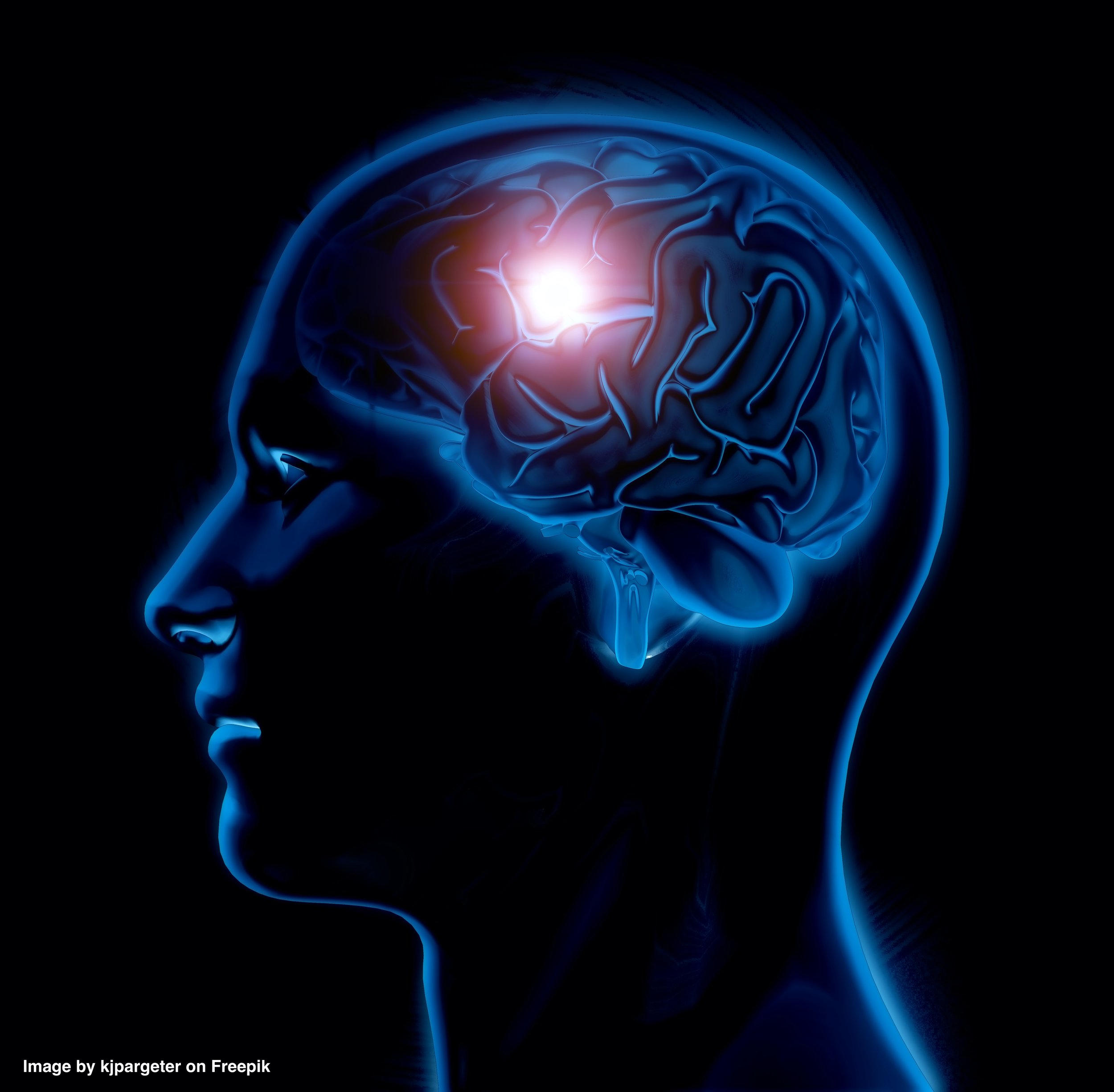 Concussions and Prevention