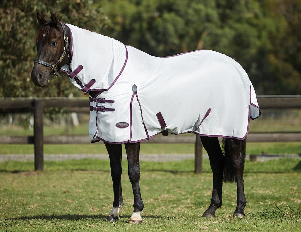 Comfitec Essential Mesh Combo.webp