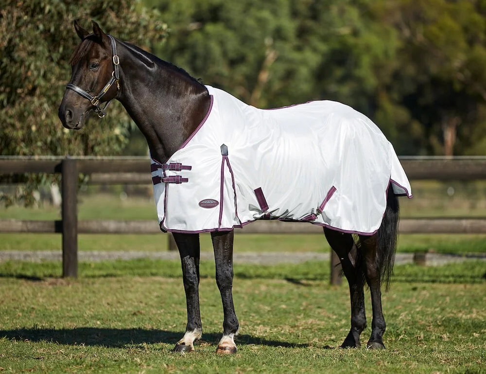 WB Comfitec Essential Mesh.jpg