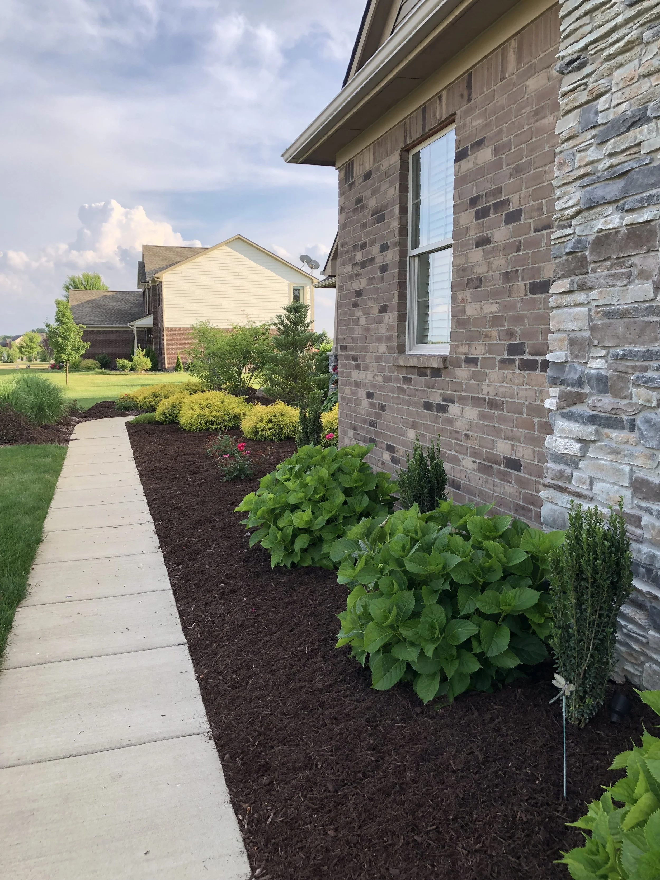 Saline, MI - Mulching 