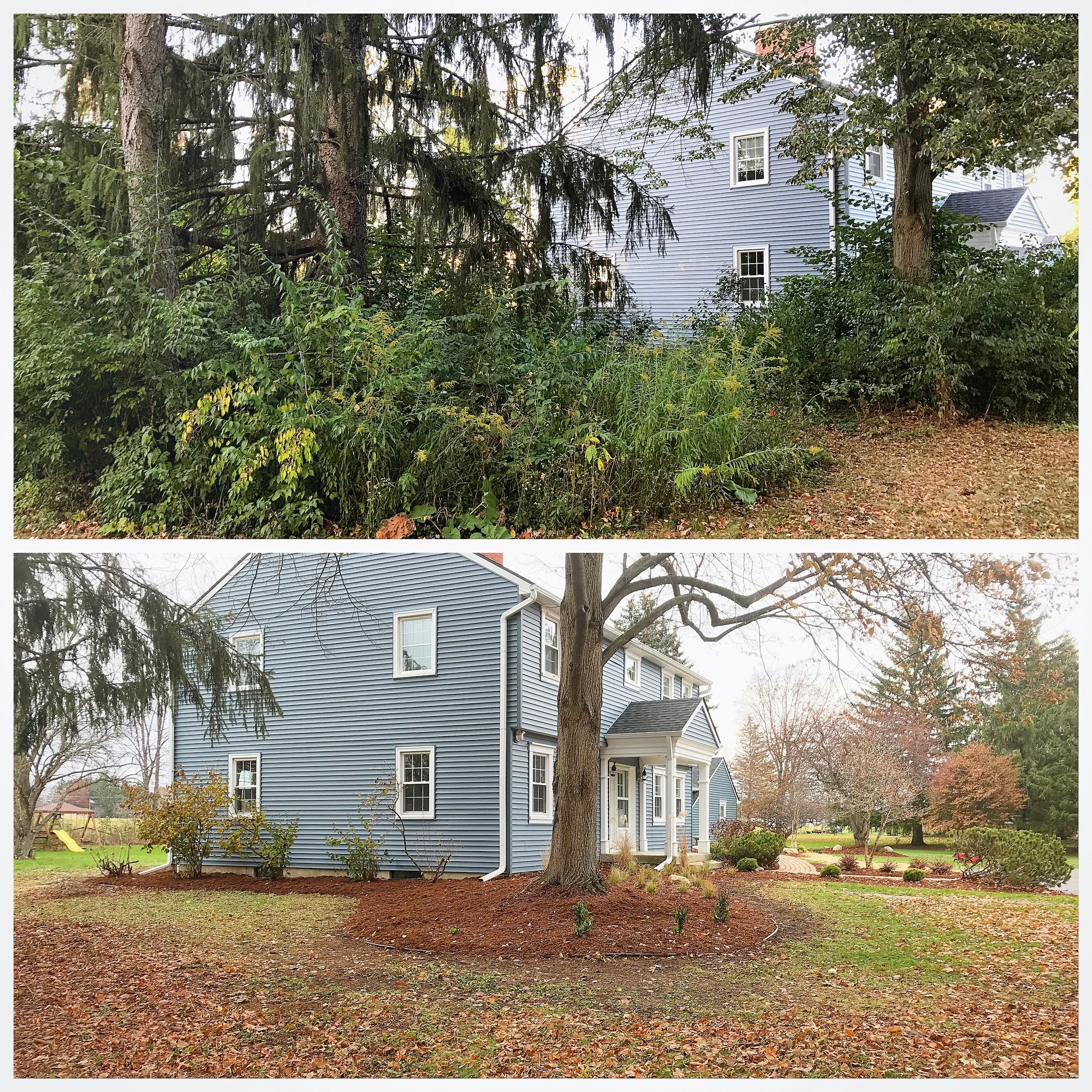 Two images of a blue house with white trim, surrounded by a landscaped yard with trees and bushes. The top image shows dense greenery and shrubs in front of the house, while the bottom image shows the house with a large tree and a well-maintained law