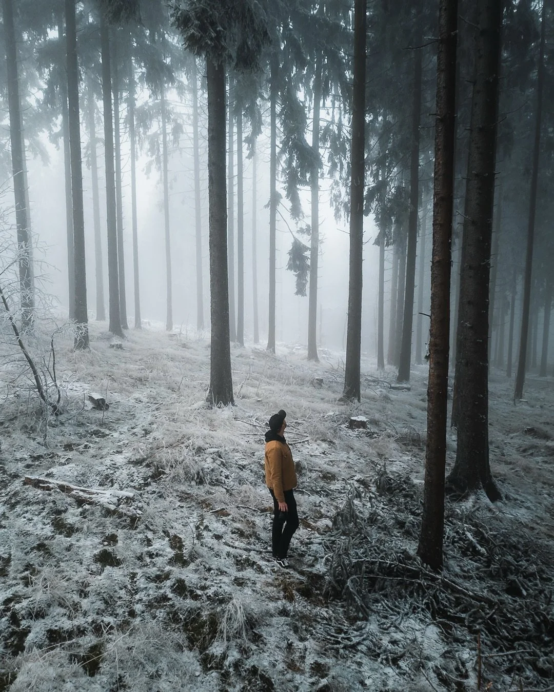 Sometimes you don&rsquo;t have to travel so far to get in touch with nature 🍂 
(Let&rsquo;s consider this an autumn post!)

#germany #visitgermany #sonyalpha #artofvisuals #adventureculture #moodnation #travelphotography #feldberg #thewanderco #folk