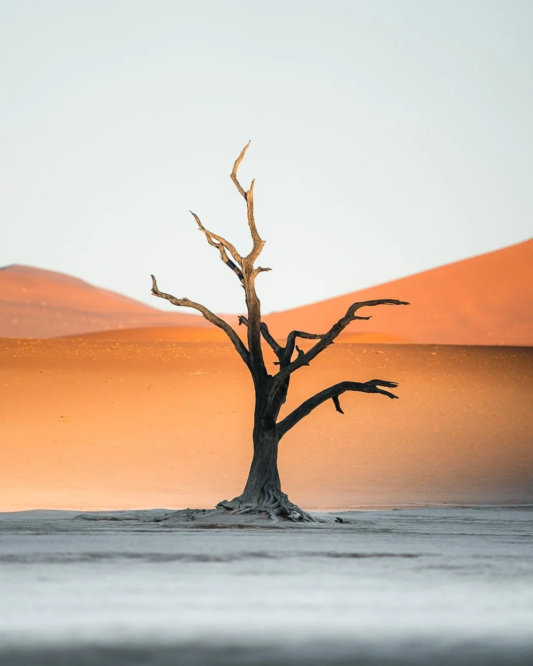 It won&rsquo;t be the last time I visit this magical place. If you ever consider traveling to Africa, Namibia is a great place to start 🌵 

#namibia #visitnamibia #sonyalpha #artofvisuals #adventureculture #moodnation #travelphotography #deadvlei #t