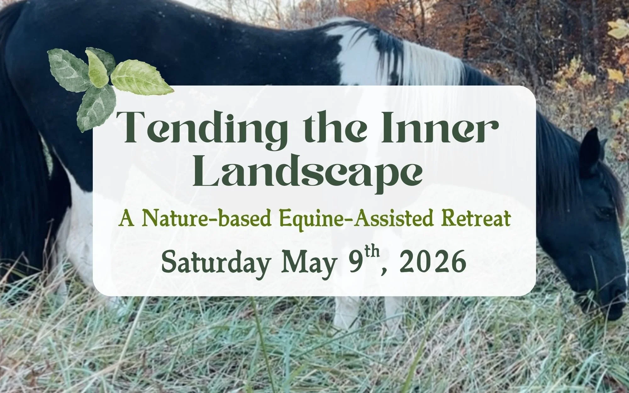 Tending the Inner Landscape: Day-long Retreat on May 9th 2026