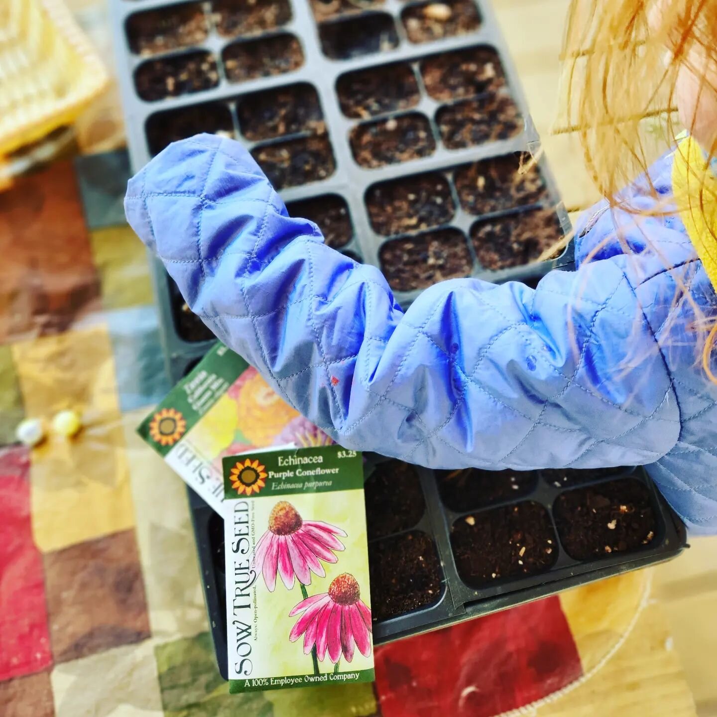 &quot;We need to be earth kind.&quot;
-Earth School student, age 4

The joy of planting time @ The Earth School 🌼 !