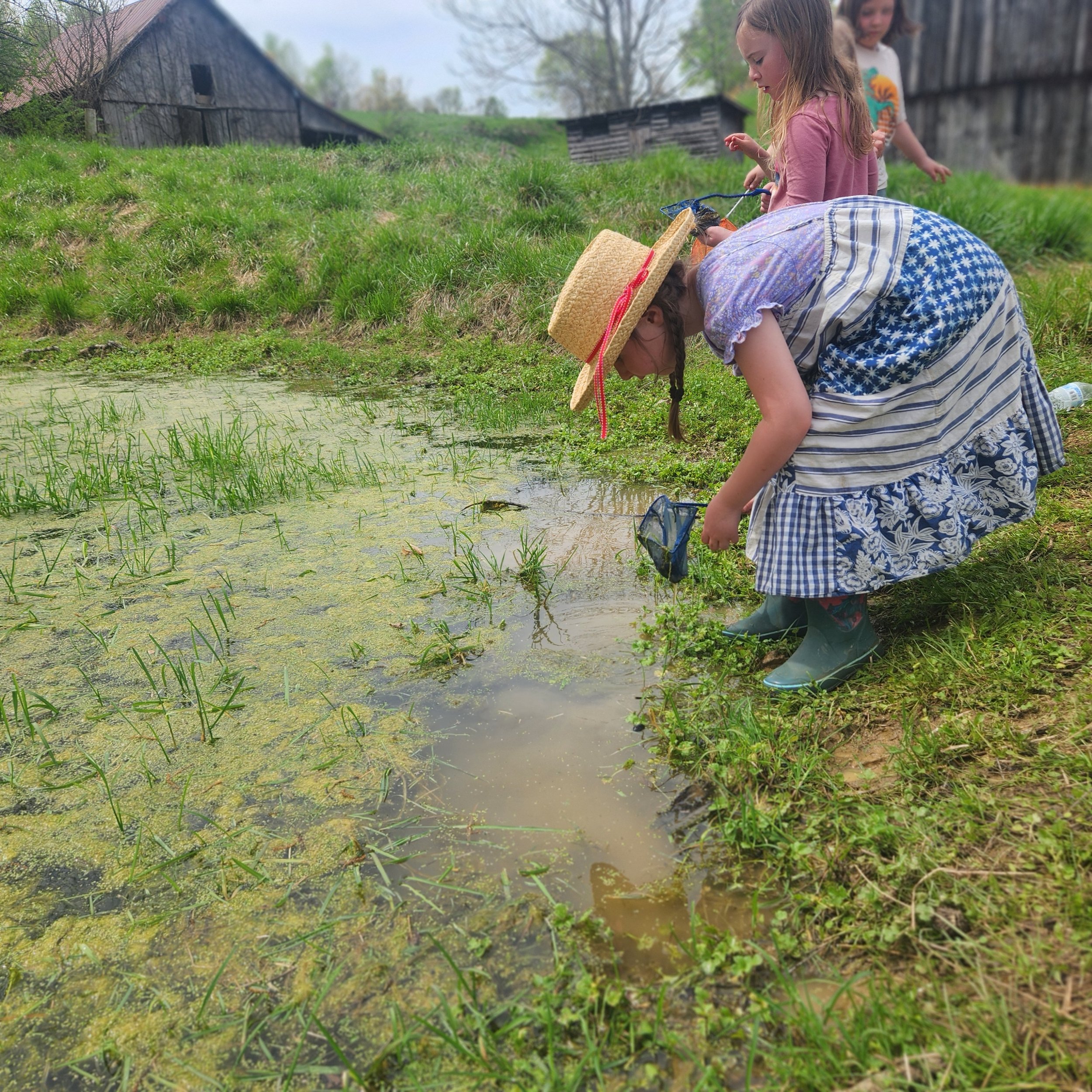 pondStudy.jpg