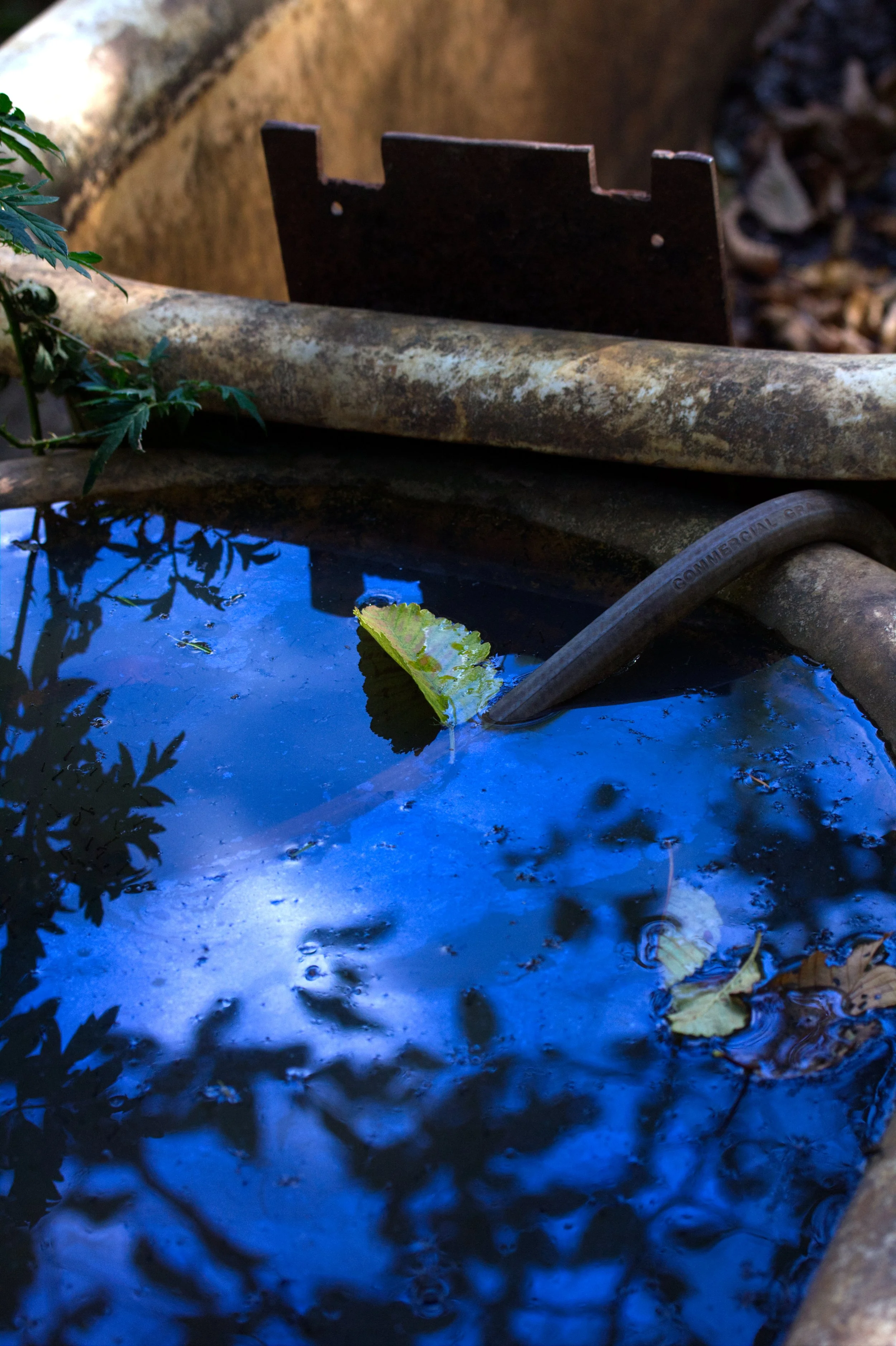 bathtub4.jpg