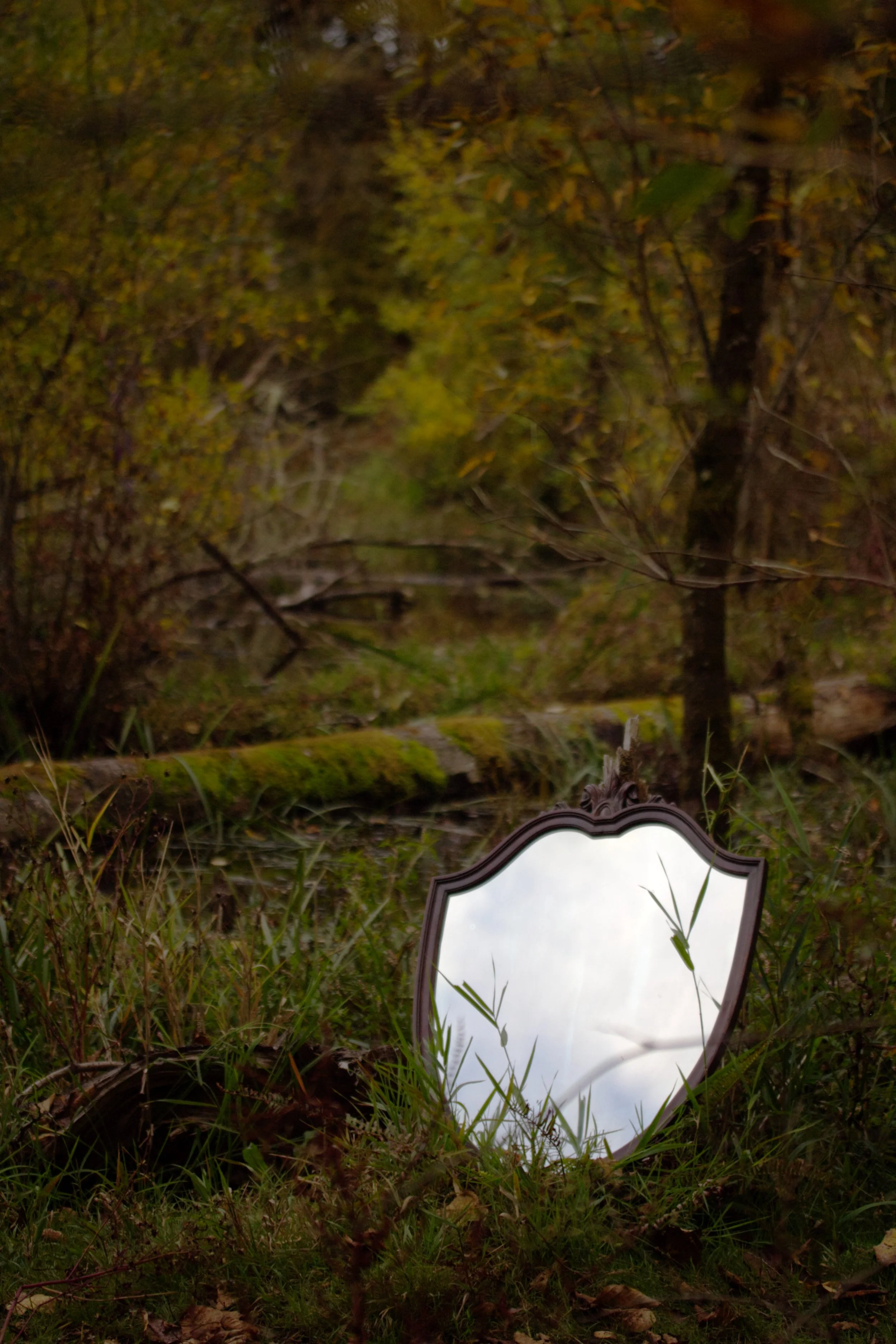mirror3941.jpg
