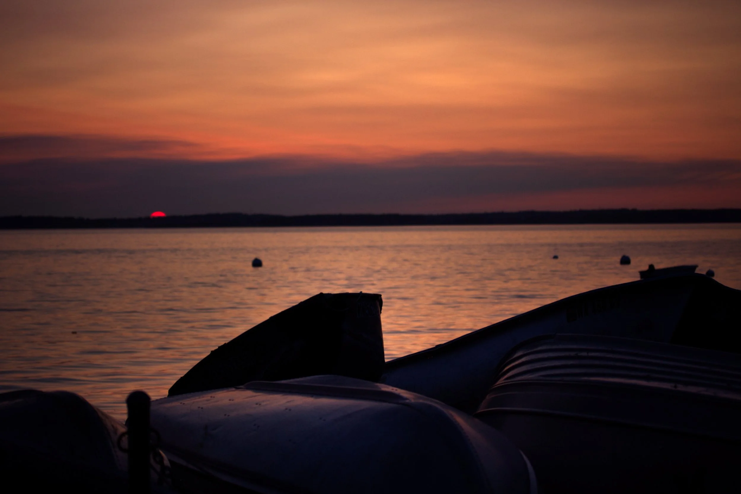 suncamano4962.jpg