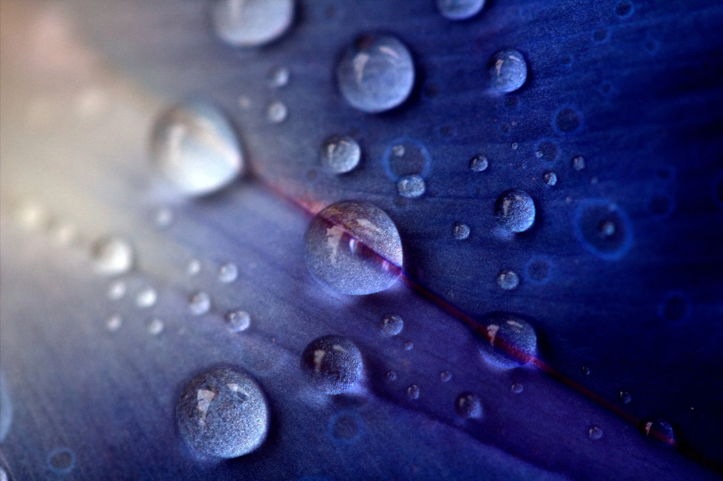water7.jpg