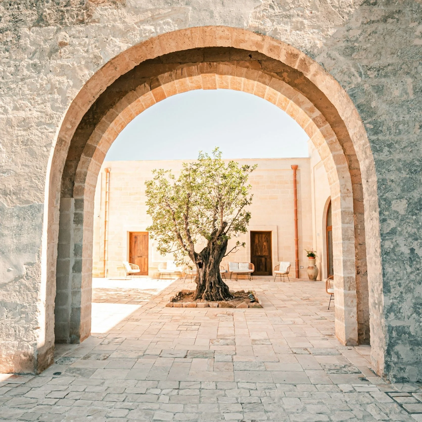 An image of an olive tree growing in the middle of a white brick piazza framed by an arched doorway in the surrounding wall on a sunny day. Meant to represent the Italian roots of the practice name "Forza Tesoro" meaning "You can do it, dear."