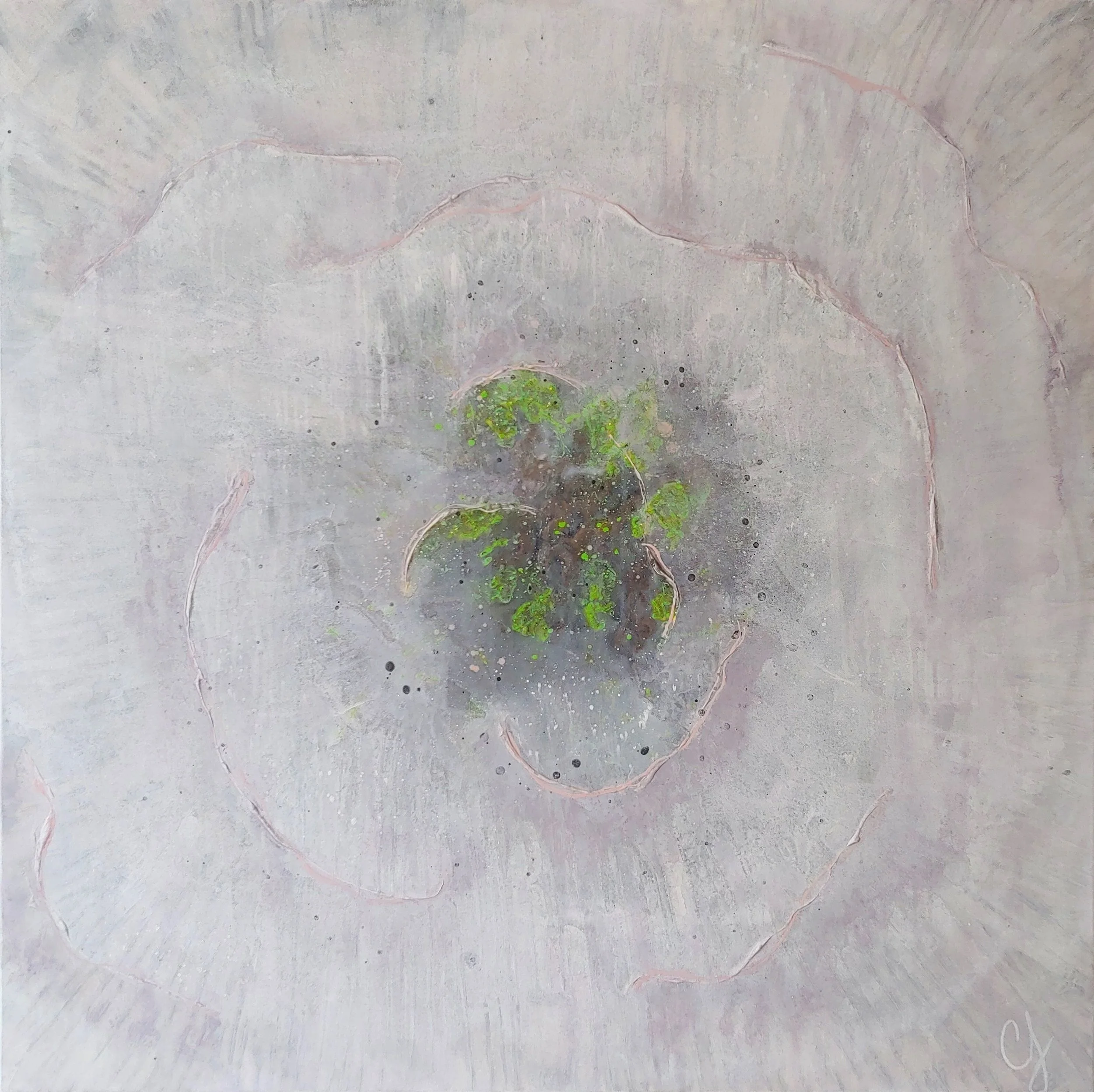 Poppy, Her Majesty Collection, acrylic and paste on canvas, 40x40", $1040