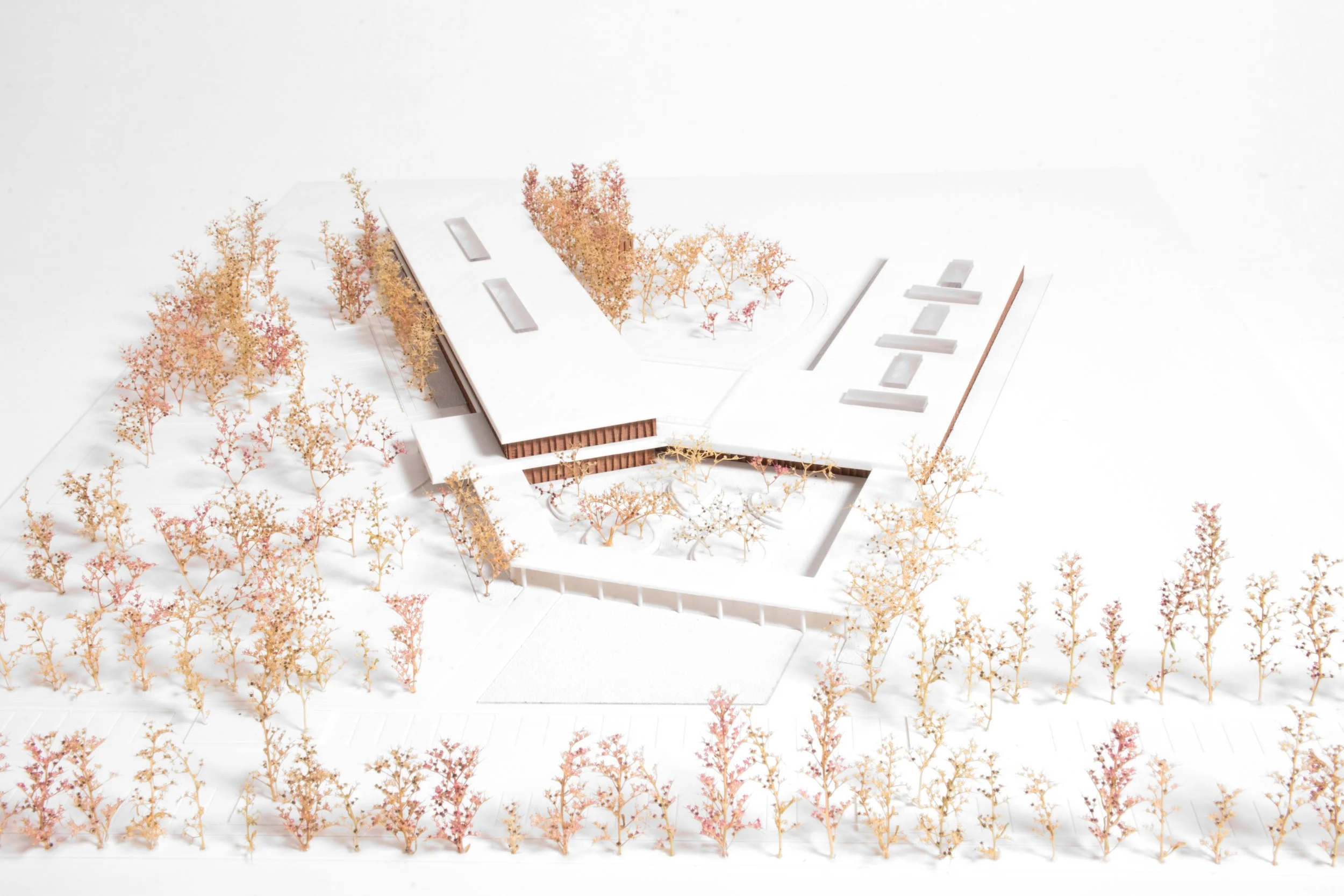 Kic’ó Wellness Center | Competition
