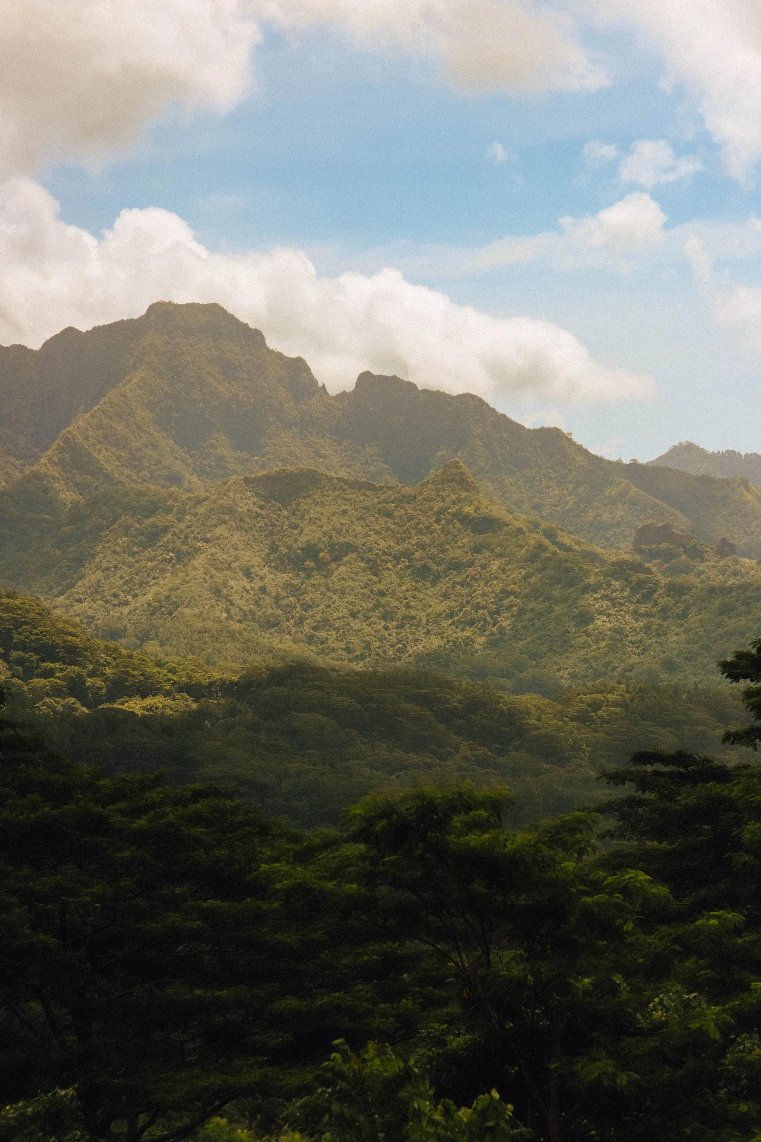 Lush green mountains with cloudy sky in the background