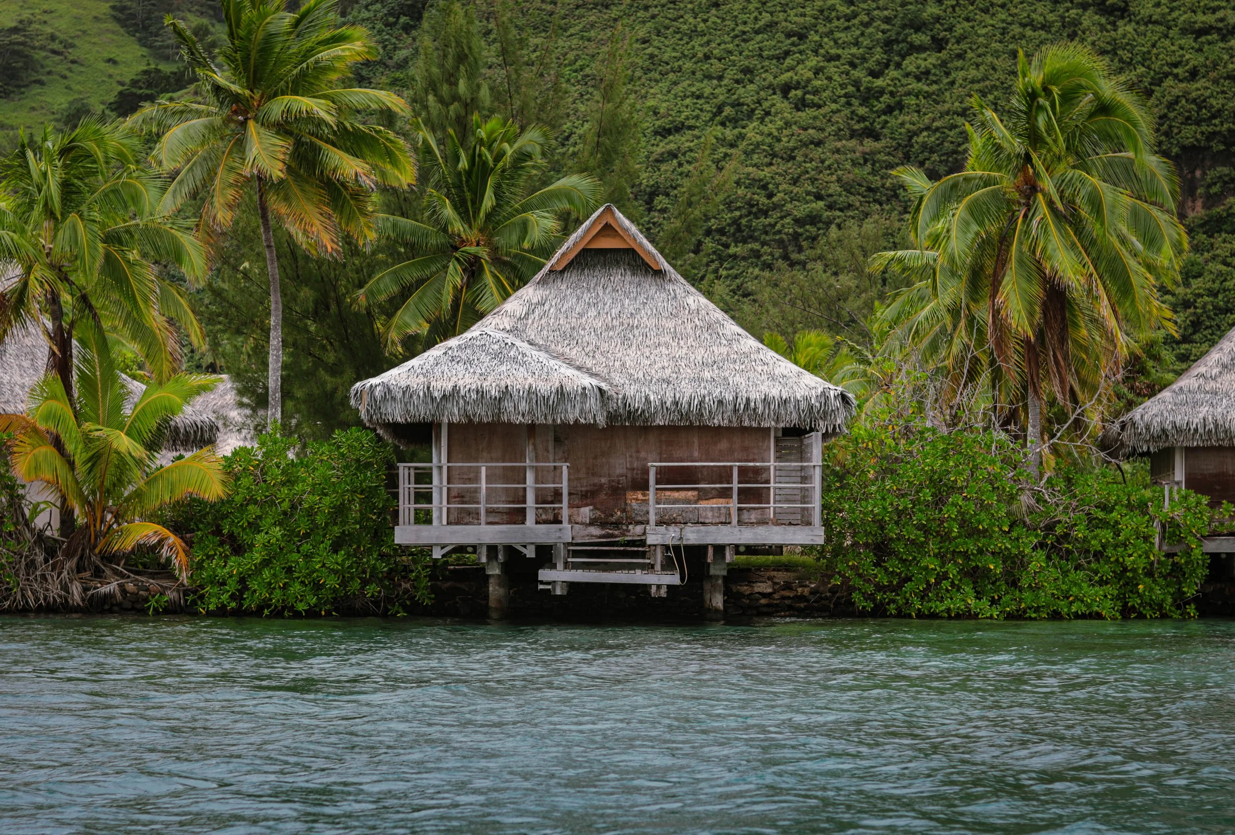Overwater bungalow with a thatched roof surrounded by lush green palm trees and water in a tropical setting.