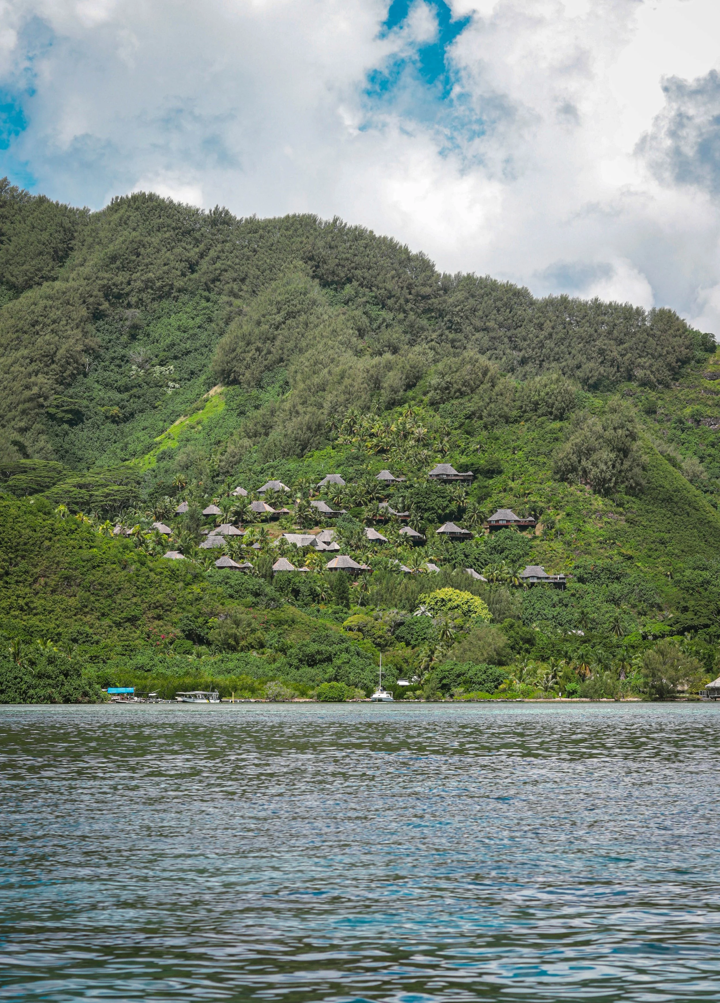 Lush green hillside with small houses and boats along the water's edge under a partly cloudy sky.