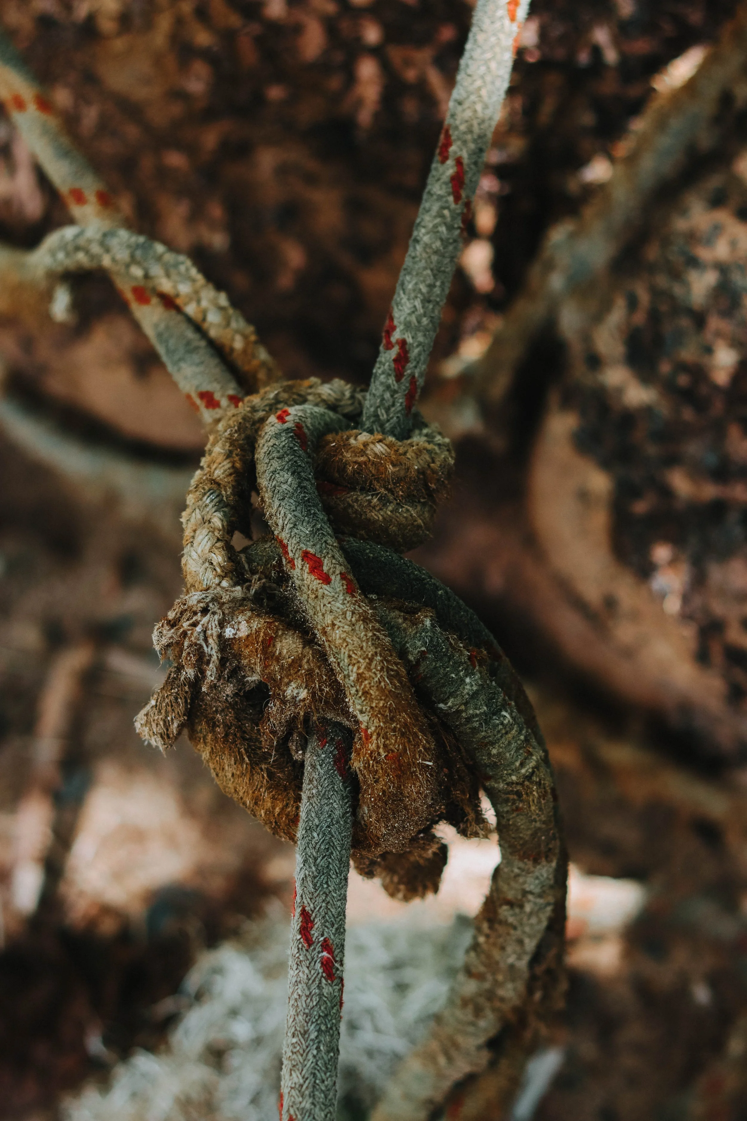 Close-up of frayed climbing rope tied in a knot, with a background of a rough textured rock surface.