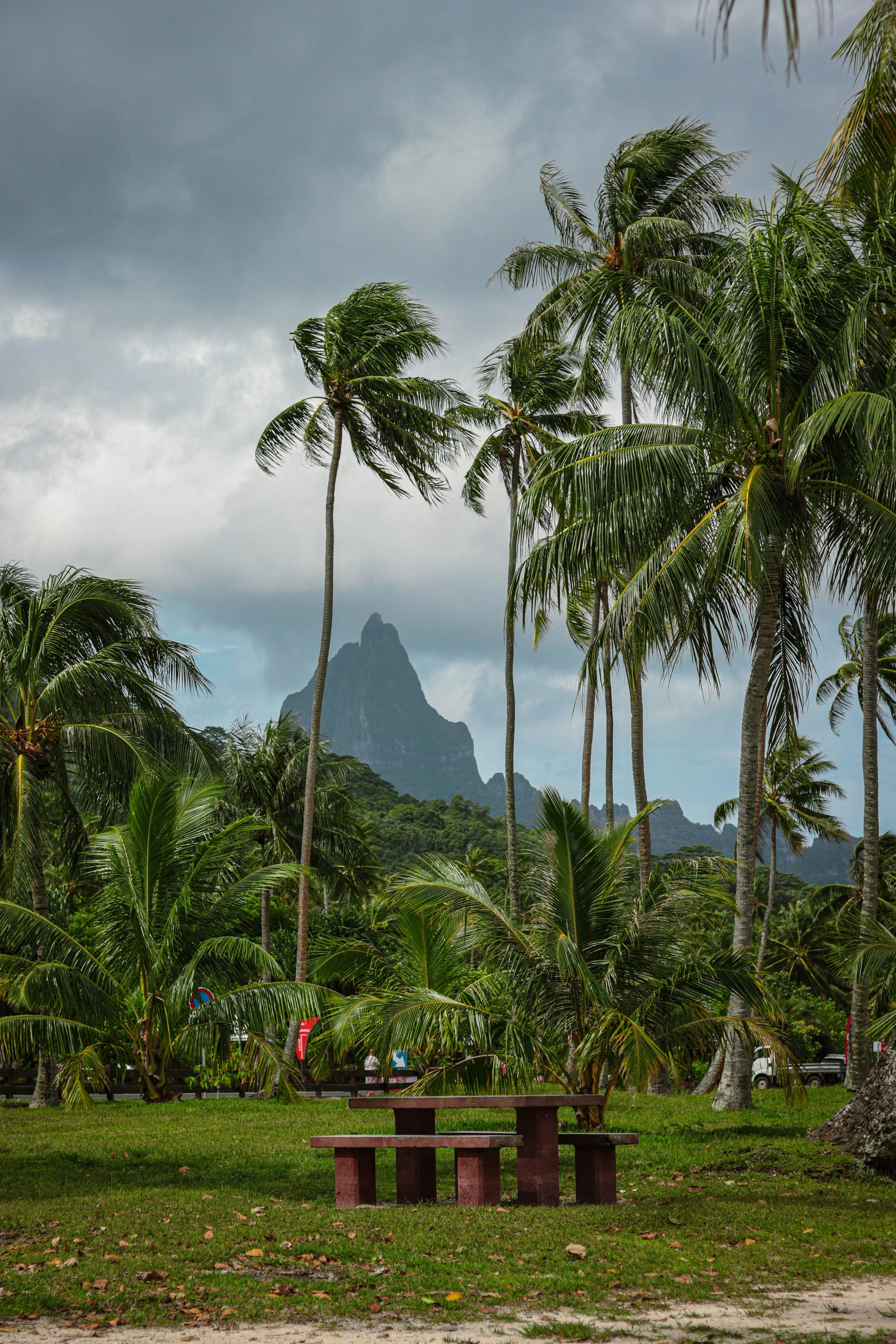 Tropical scene with palm trees and a mountain in the background under a cloudy sky.