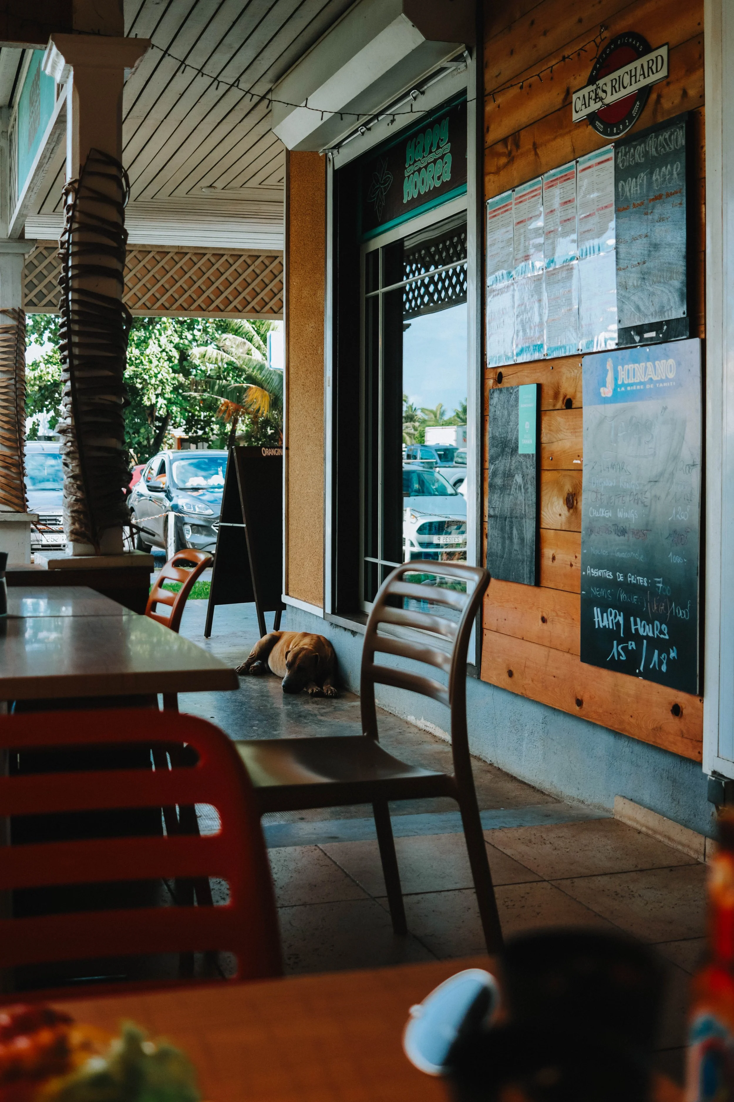 A dog lying on the floor inside a restaurant or cafe, viewed from a table with chairs, with cars parked outside visible through the open front.