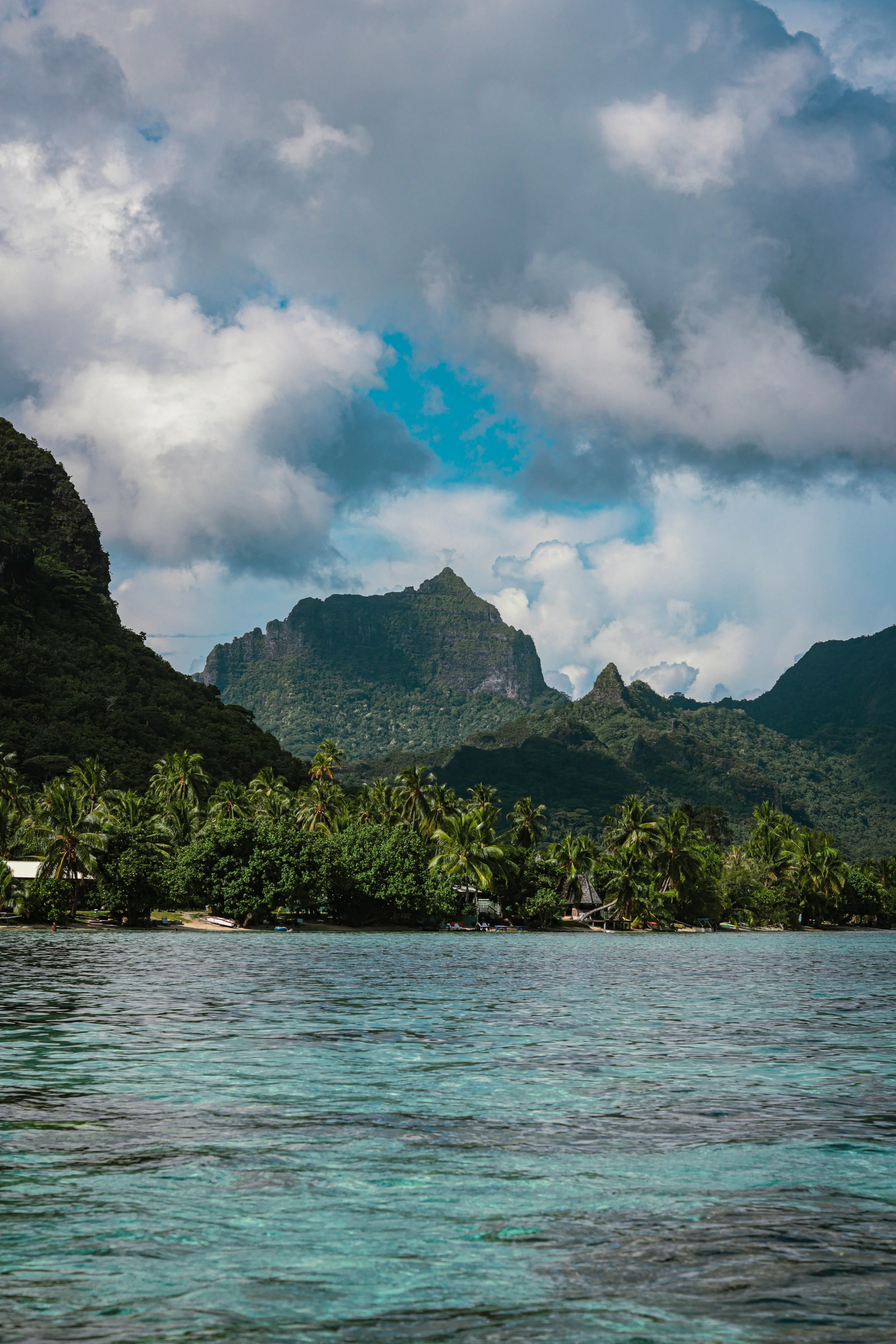 Mountain landscape with cloudy sky, lush green trees, and a body of water in the foreground.