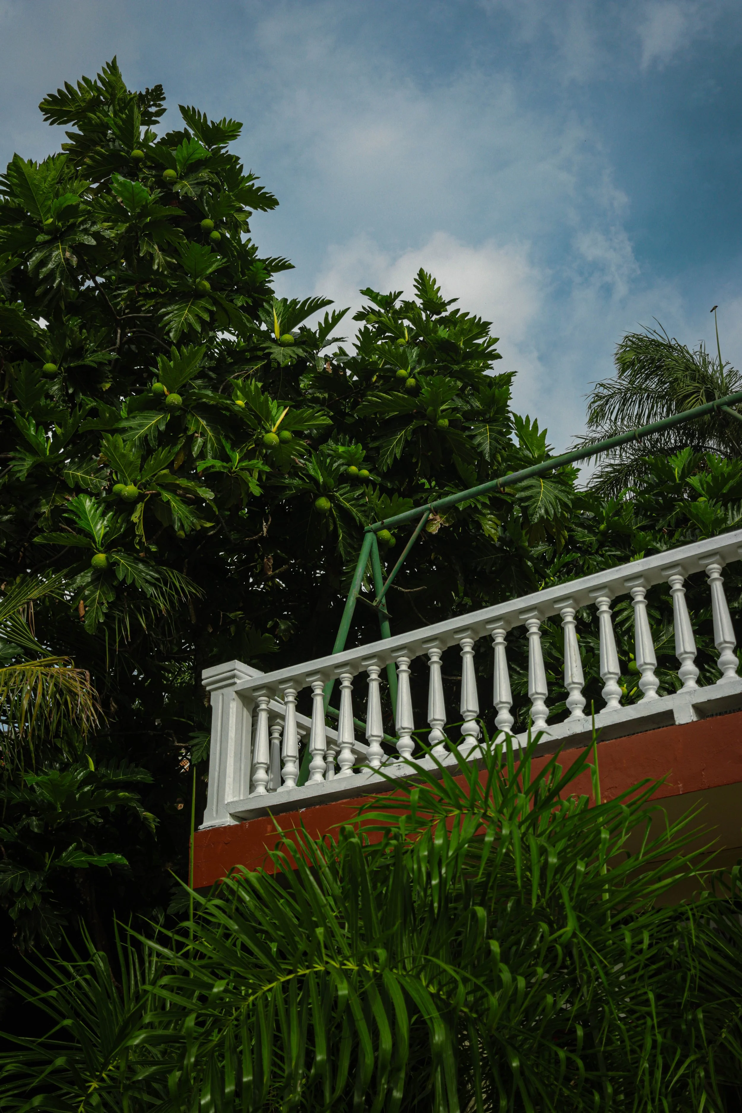 A white balcony railing with green support bars amid lush green tropical plants and trees, under a partly cloudy sky.