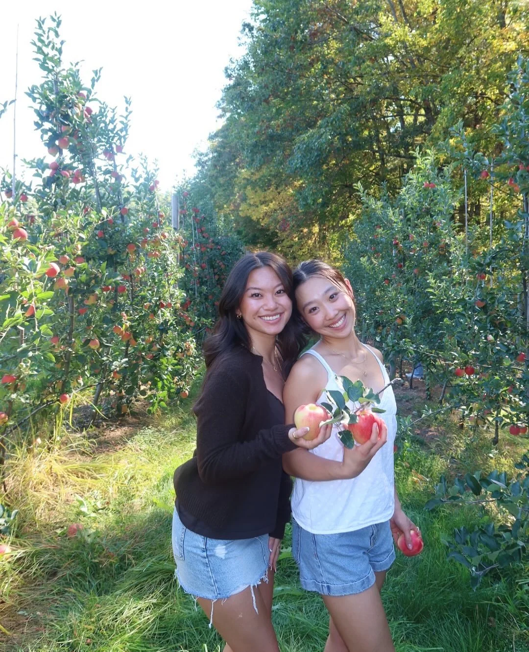 That time of year again☺️🍎🧺