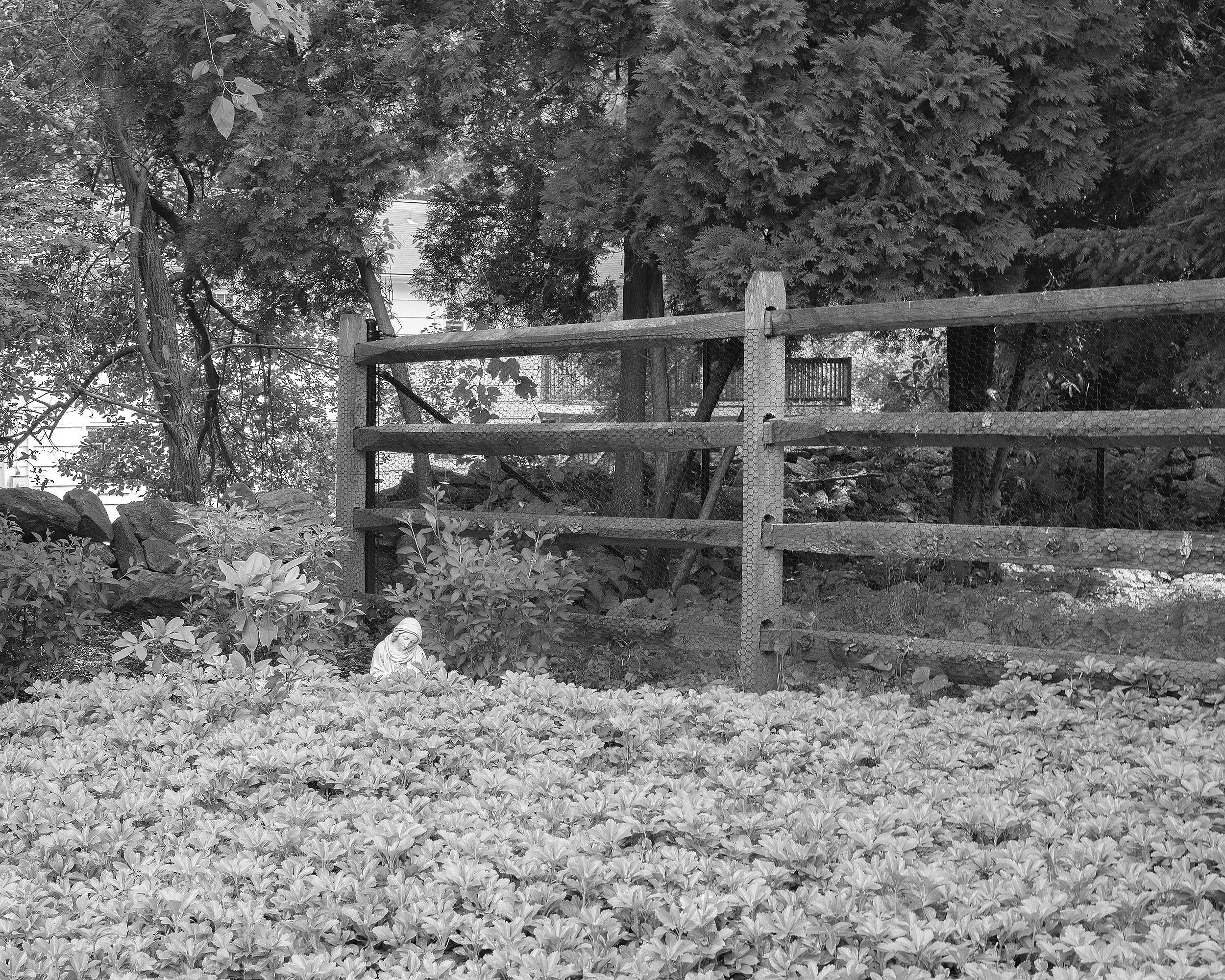 Yard, Mother Mary