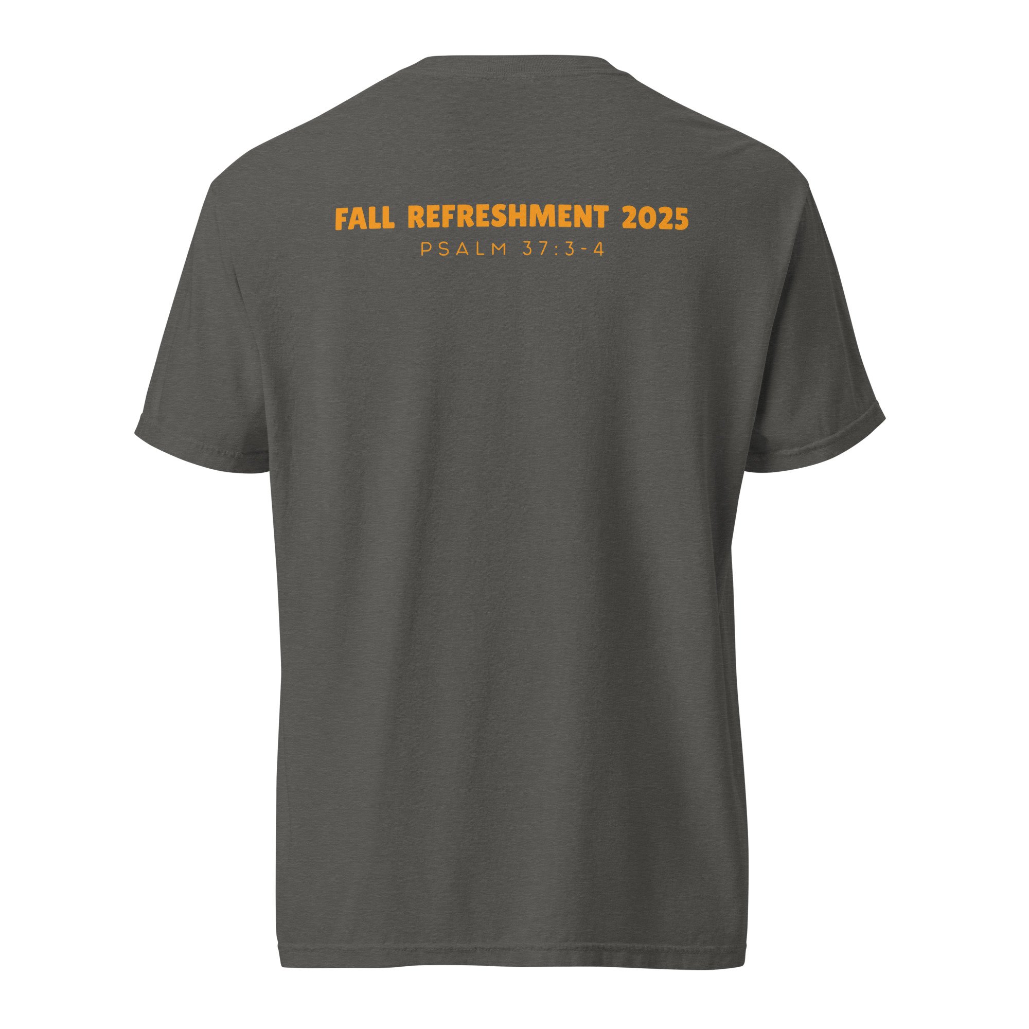 unisex-garment-dyed-heavyweight-t-shirt-pepper-back-6879089855208.jpg