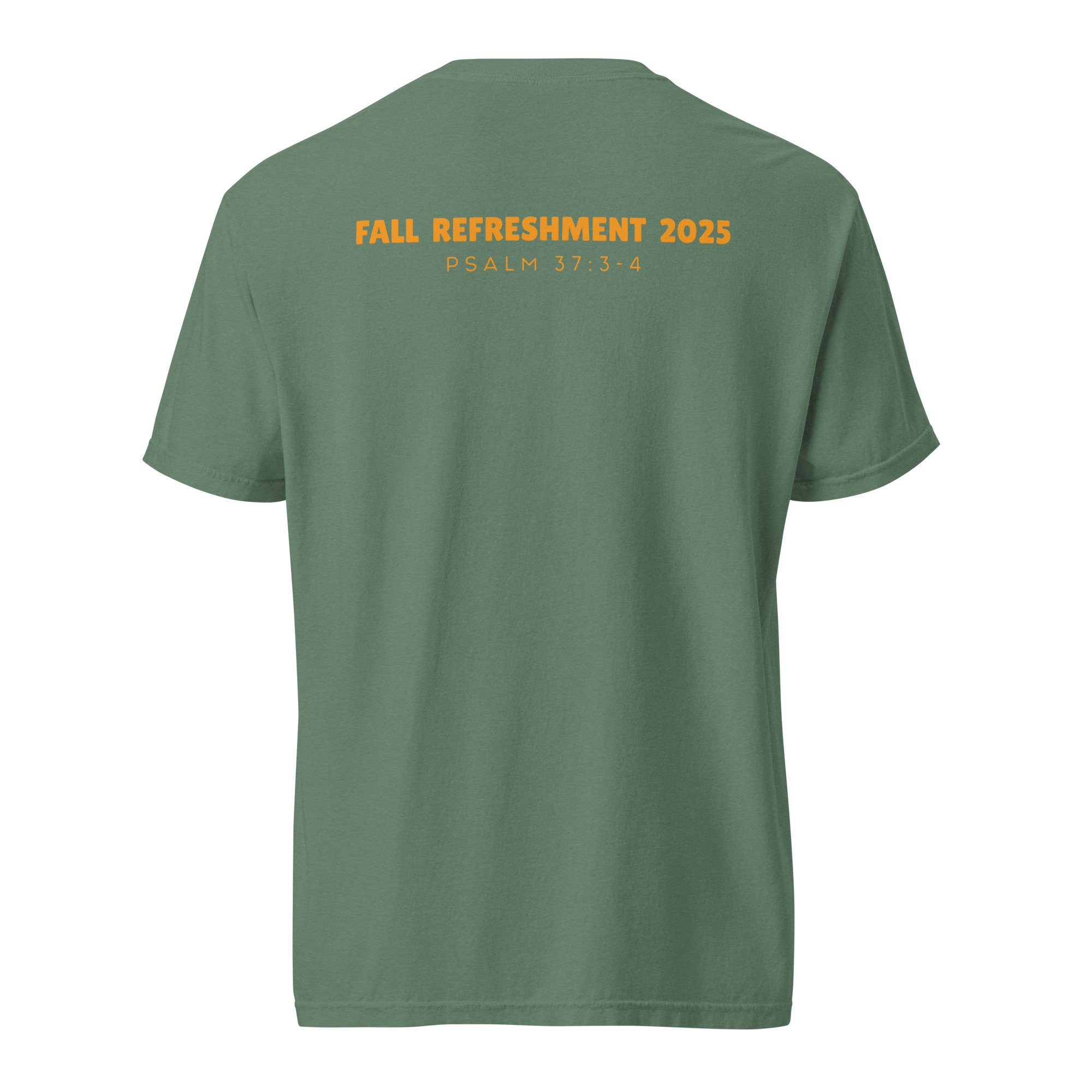 unisex-garment-dyed-heavyweight-t-shirt-light-green-back-687908985cad2.jpg