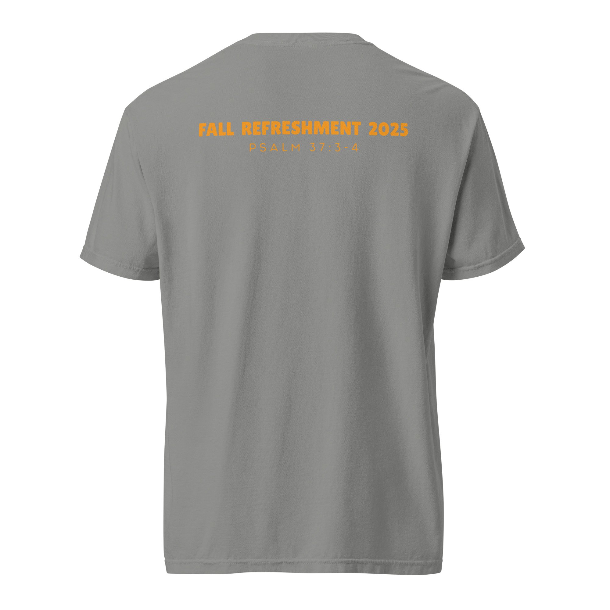 unisex-garment-dyed-heavyweight-t-shirt-grey-back-6879089861606.jpg