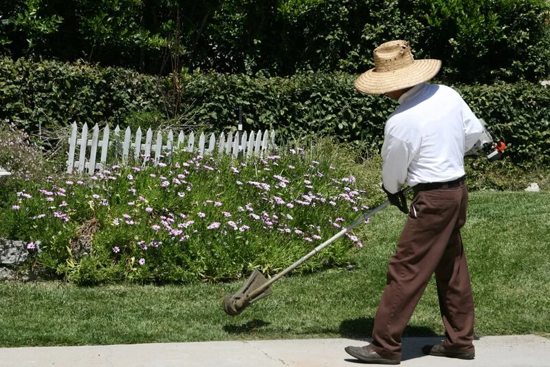 The Essential Basics How Do Lawn Edgers Work? — Trimyxs™