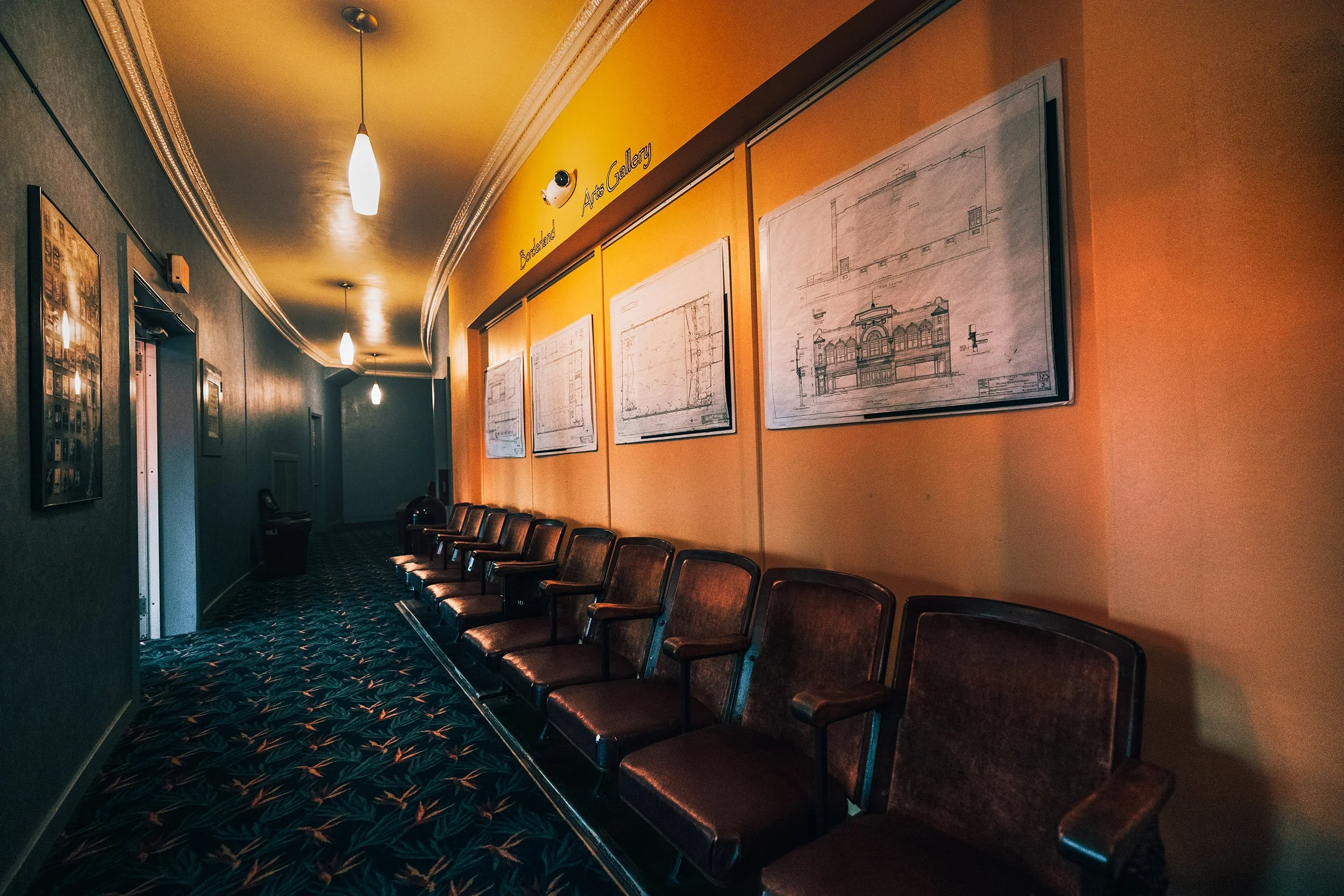 Empty hallway with mustard yellow walls on the right and dark colored walls on the left, with framed pictures and blueish patterned carpet. Blue chairs are lined along the hallway, and architectural blueprints are displayed on the yellow wall. Ceiling lights illuminate the corridor.