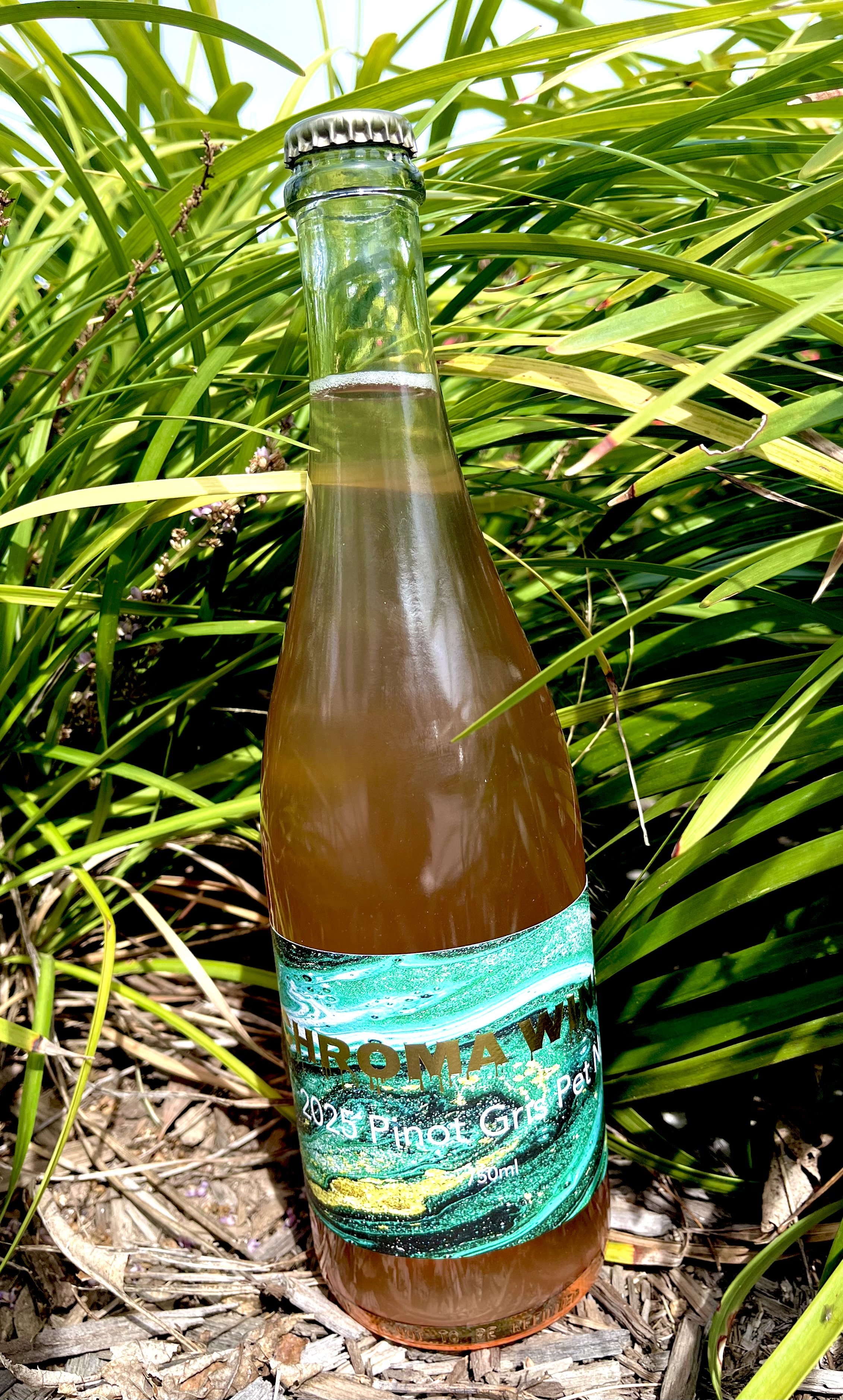 2025 Pinot Gris Pet Nat
