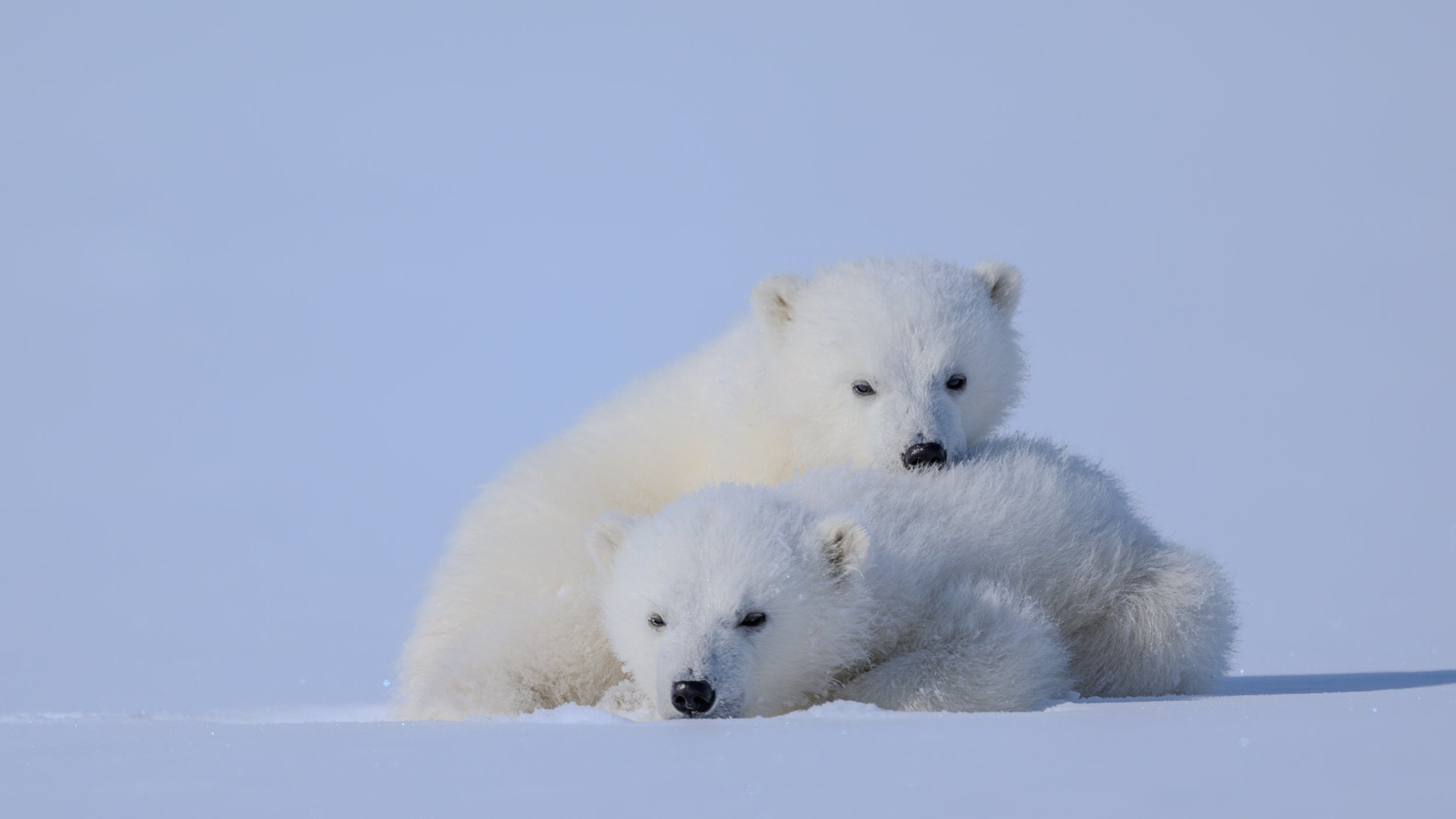 Siblings finding comfort in each other while they wait for their mum to return.