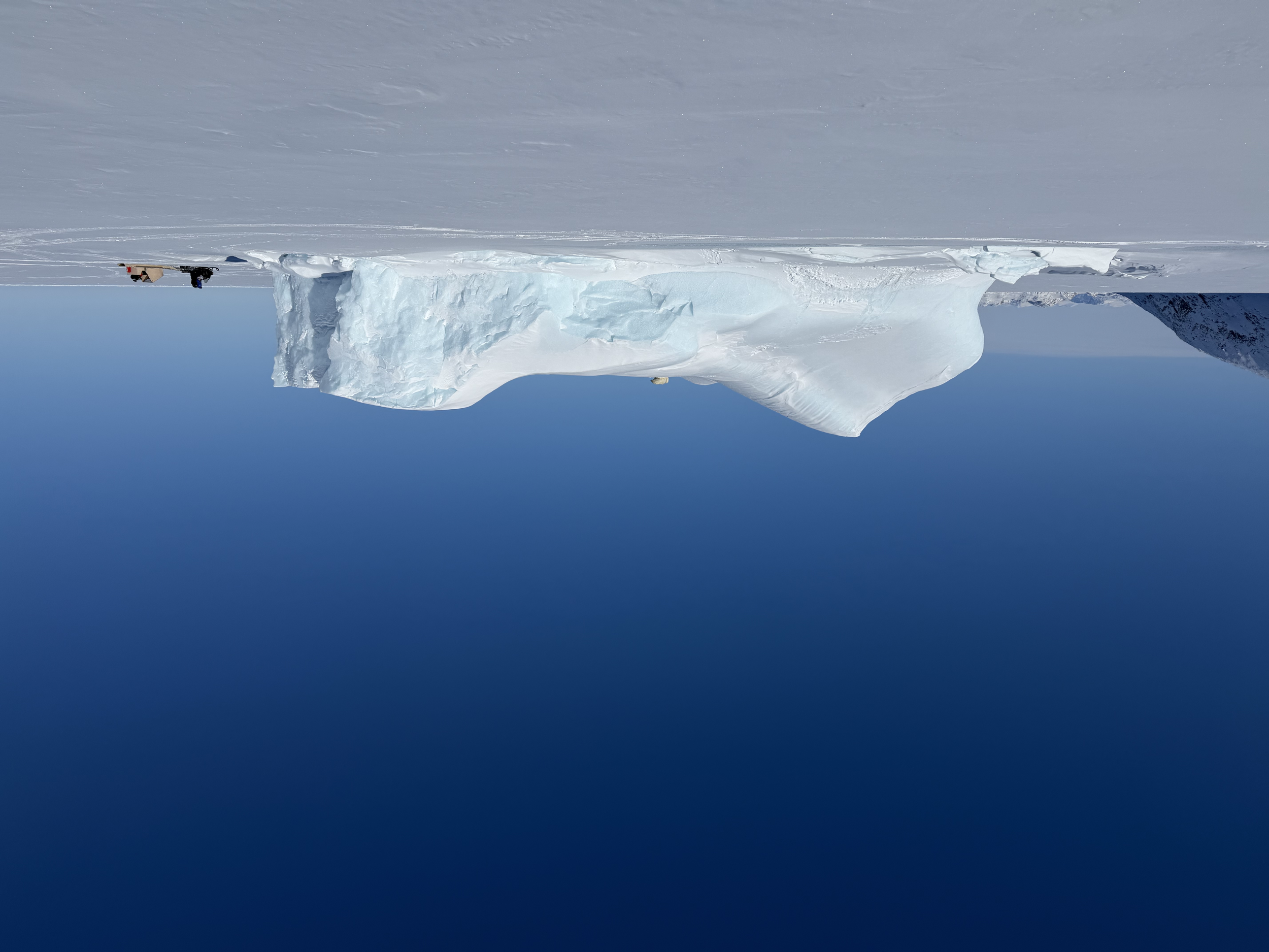 The perch for the bears is building sized iceberg locked in the frozen ocean. Safe high ground.