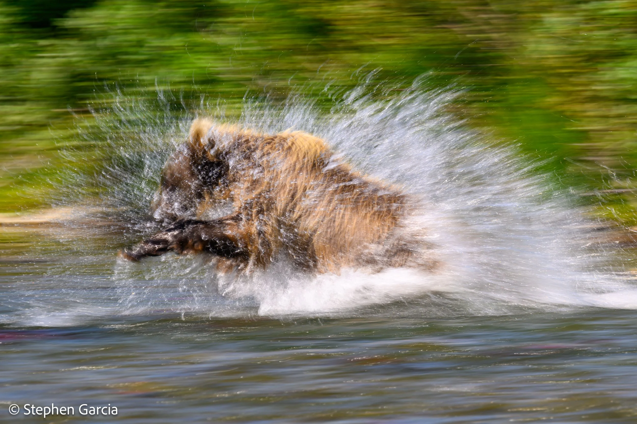 grizzly-28.jpg