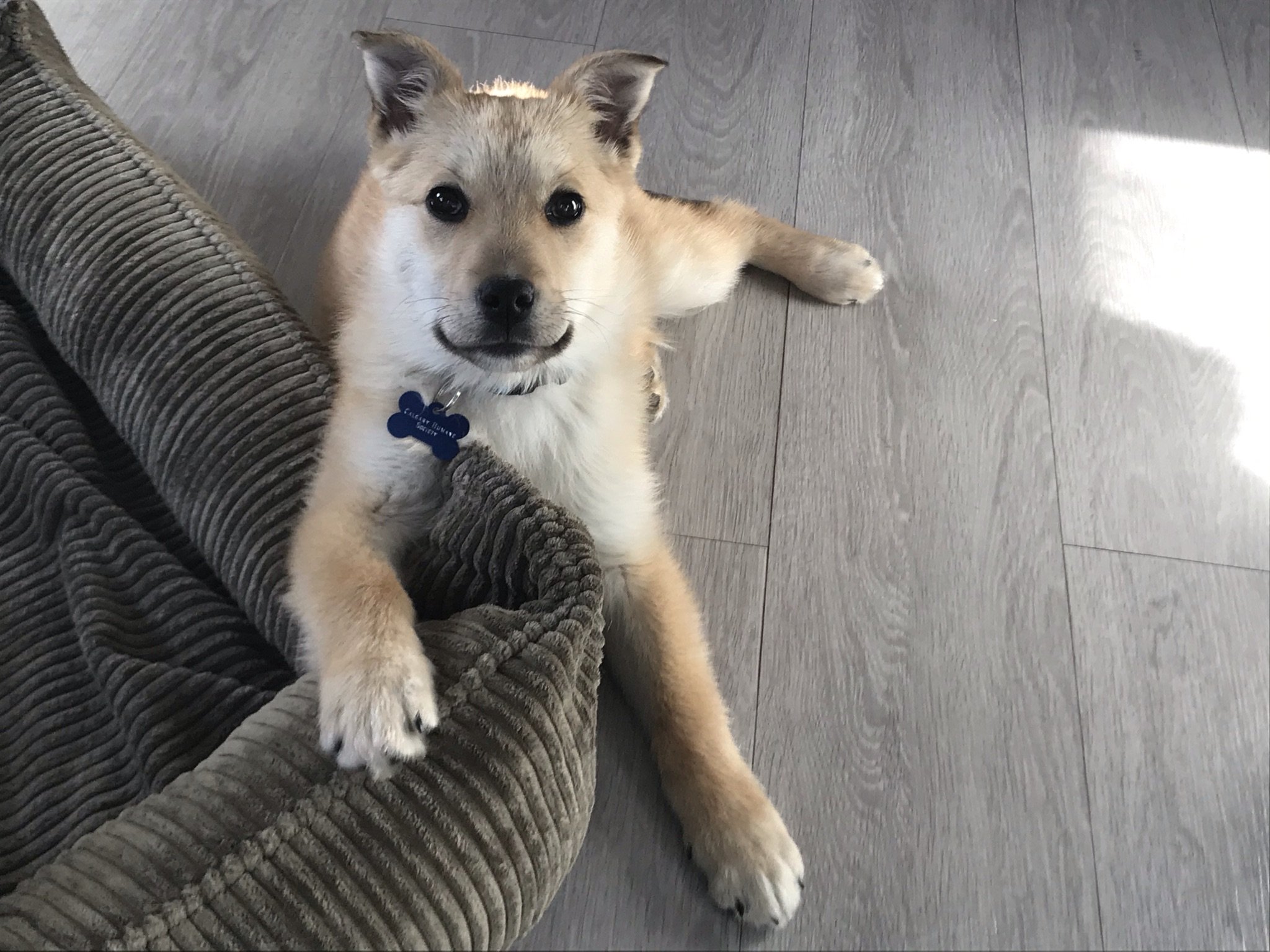 Belly Laying Down.JPEG