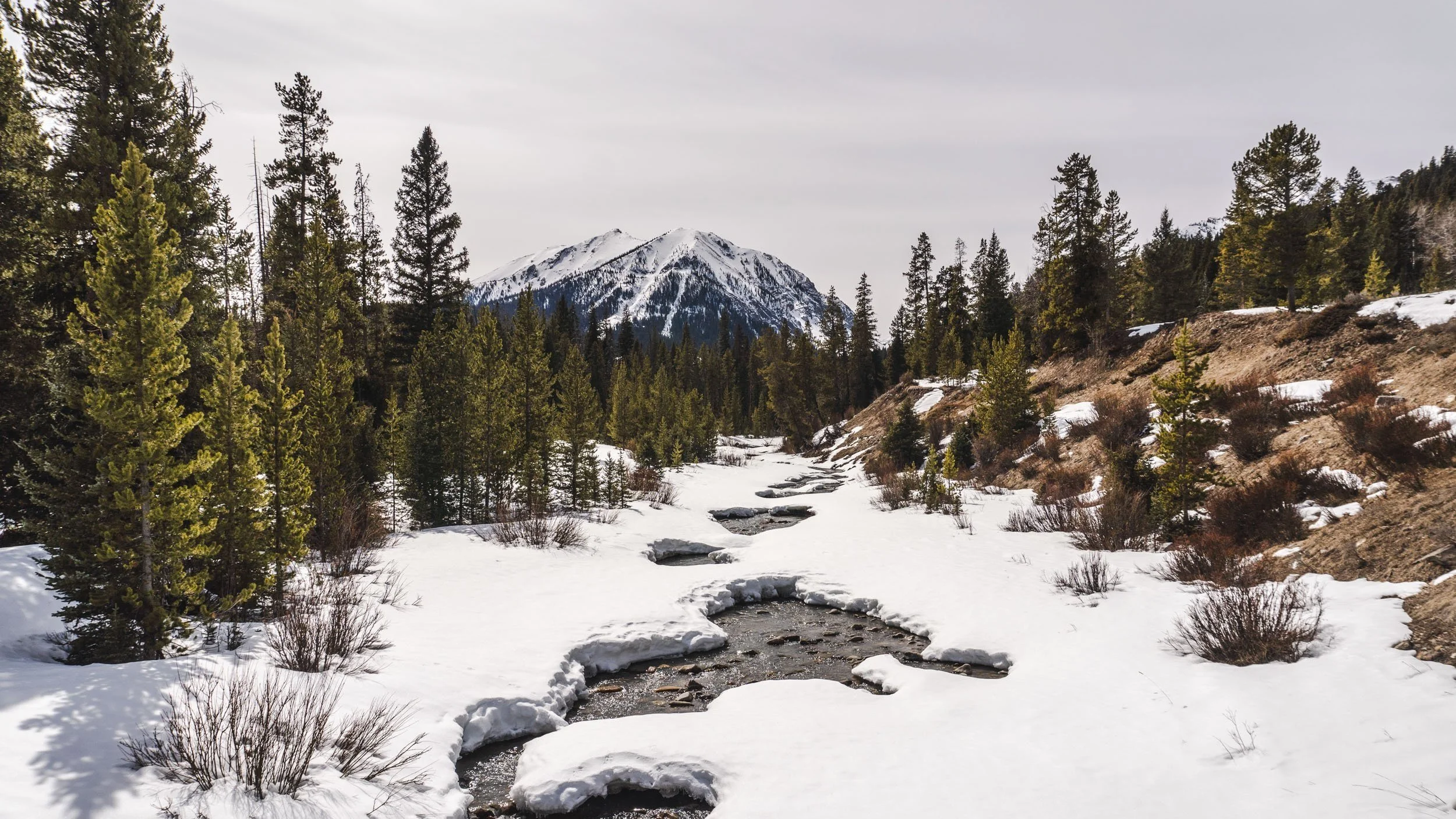 About The Place — Lightning Creek