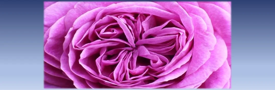 Astrology, Health, and Healing Through Grief: The Awakening (Part 2 of 3)