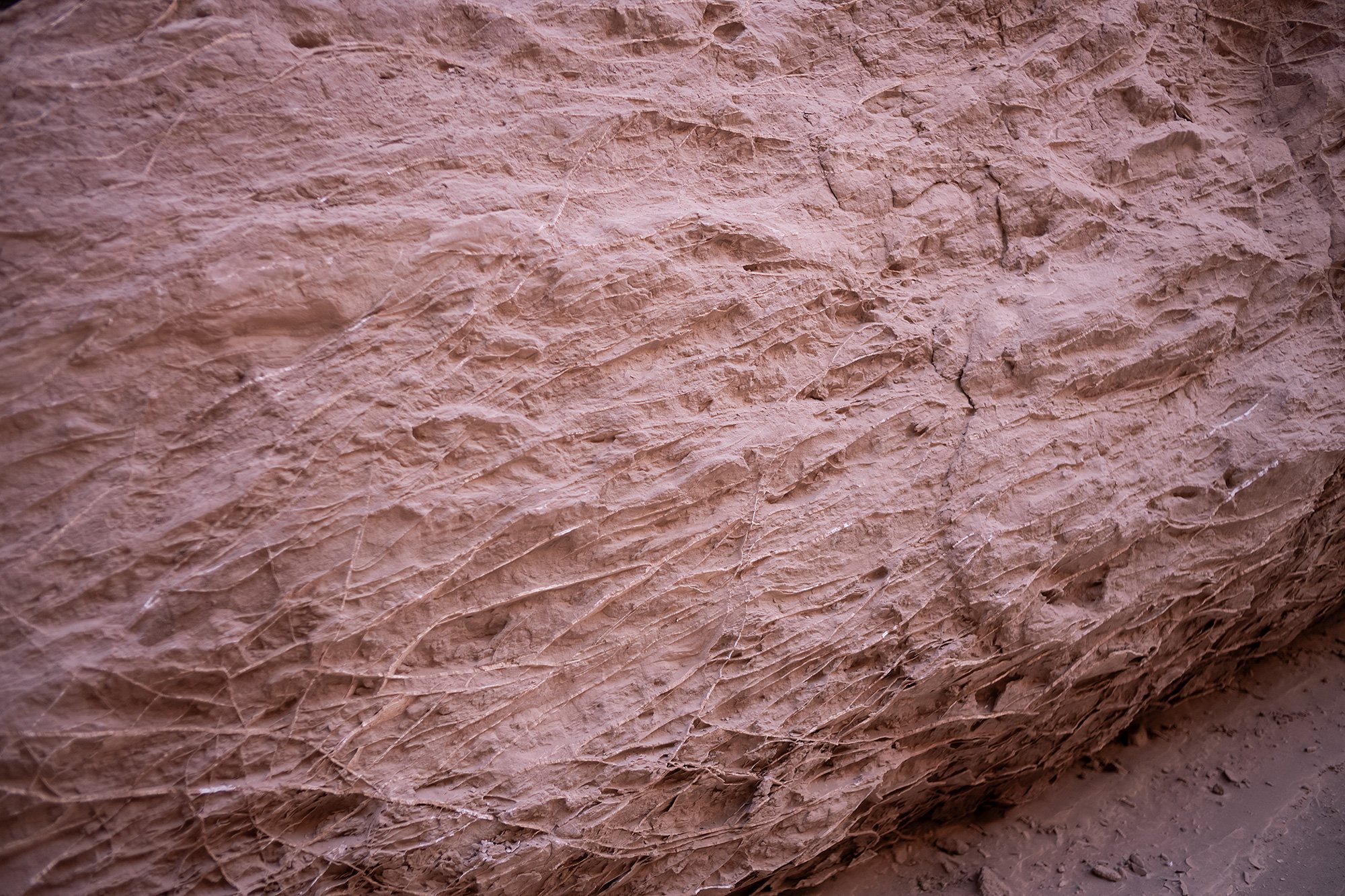 Chulackao hike, Atacama desert, Chile.