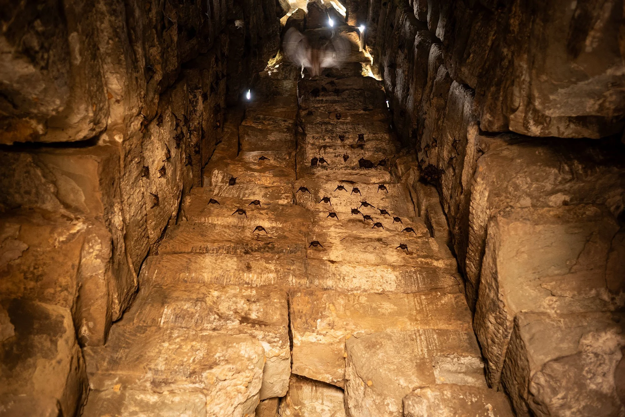 Ta Som. Angkor, Cambodia.