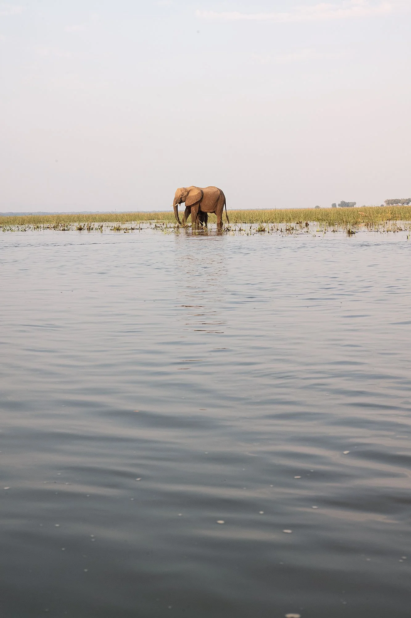 Canoeing on the Zambezi River. Mana Pools, Zimbabwe.