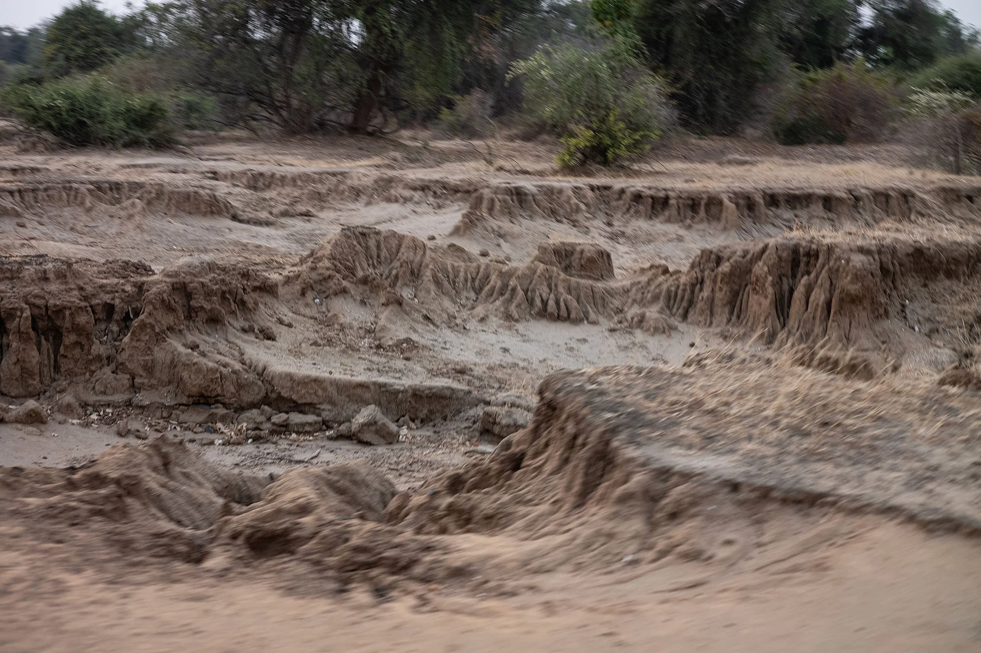 Mana Pools, Zimbabwe.