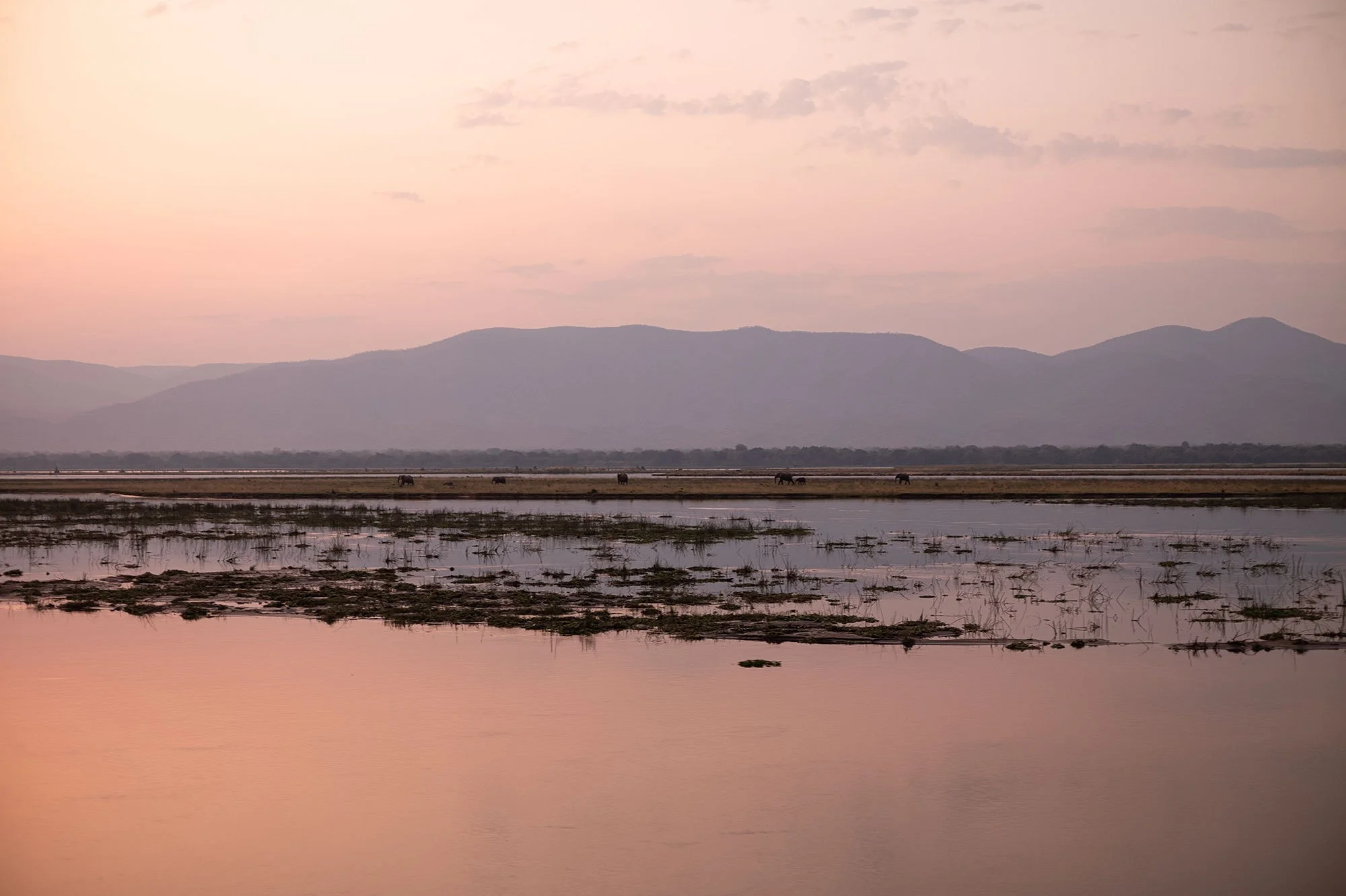 Sunset in Mana Pools, Zimbabwe.
