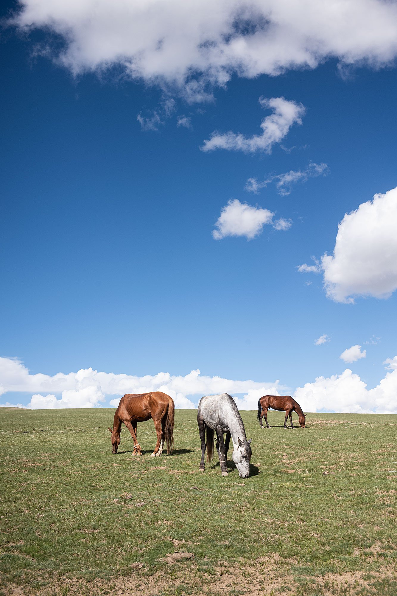Song Kul, Kyrgyzstan.
