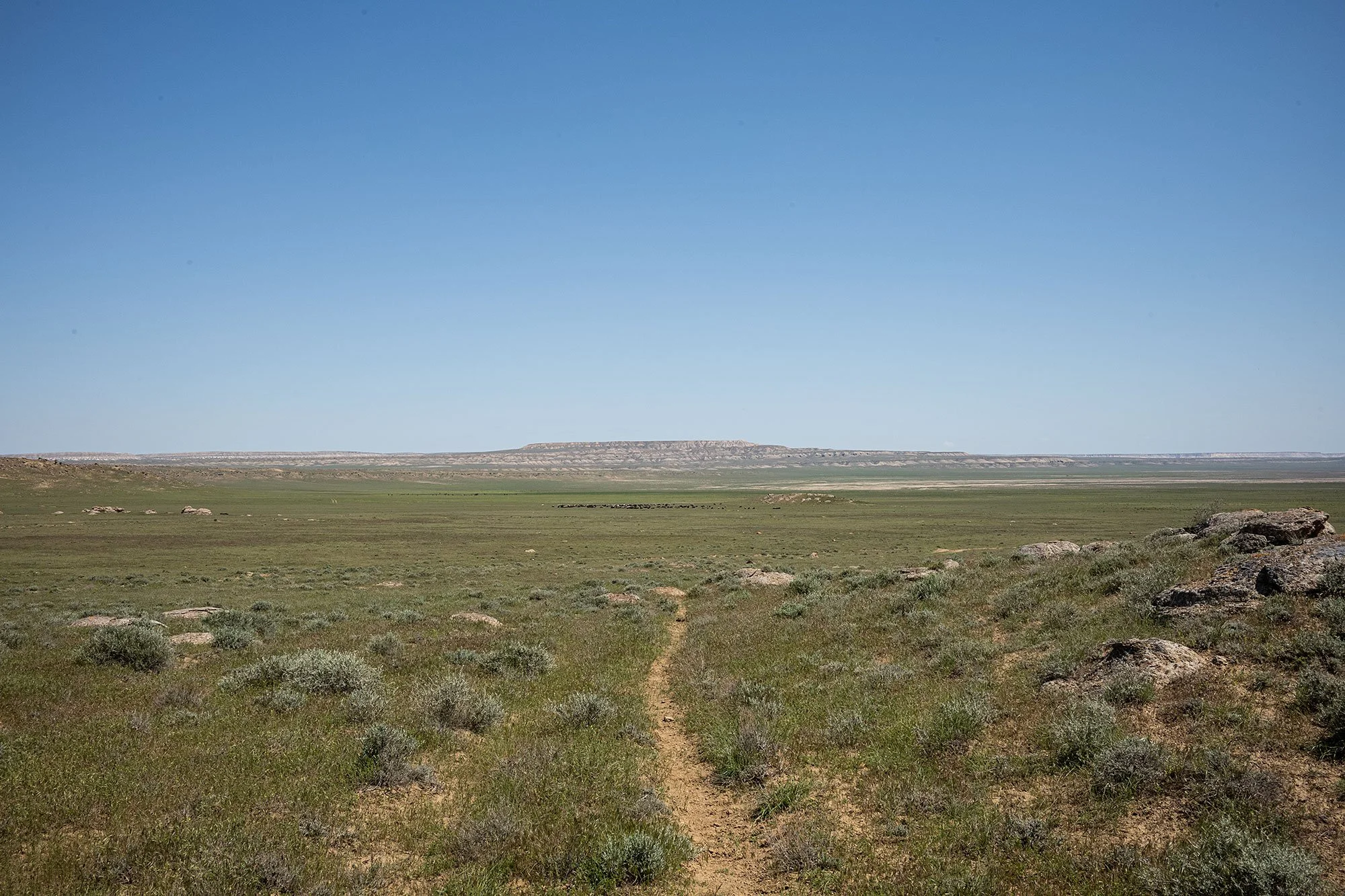 Torysh. Valley of the Balls. Mangystau, Kazakhstan.