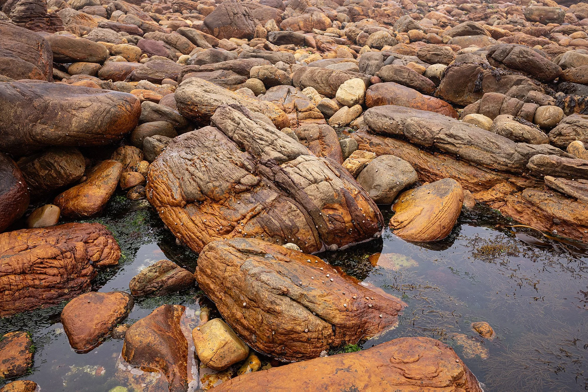 Cape of Good Hope, South Africa.